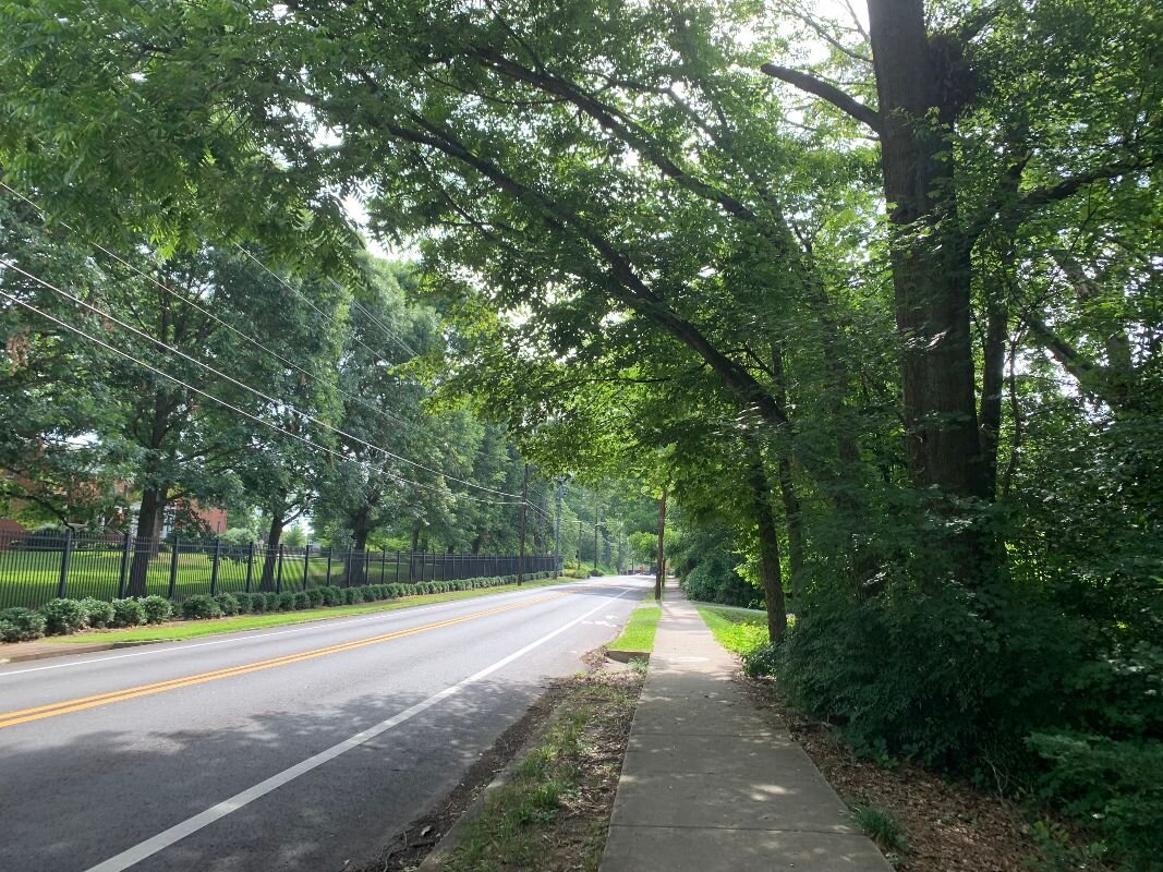 The Shakti Shine - June 8, 2020