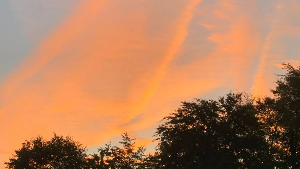 The Shakti Shine - October 12th, 2020