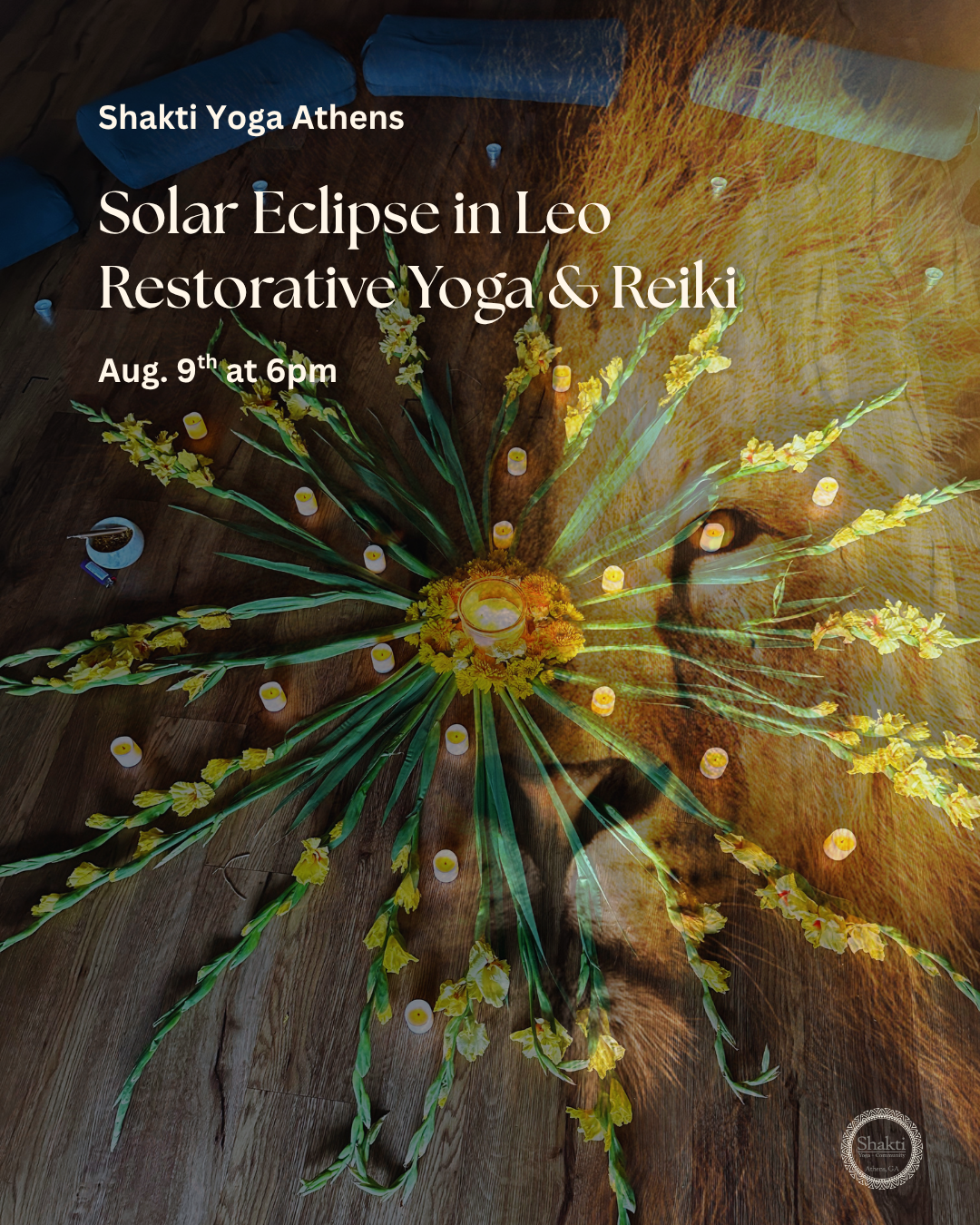 Solar Eclipse in Leo Restorative Yoga & Reiki