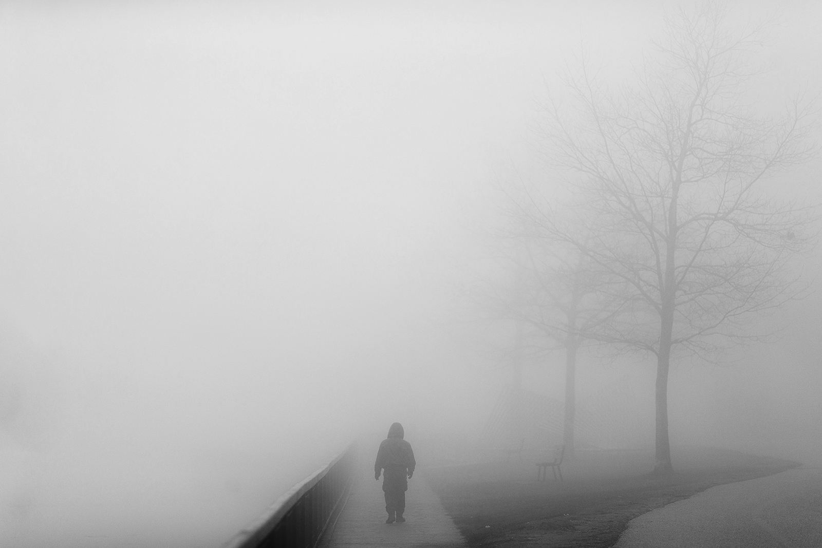 Fog - 02bw.JPG