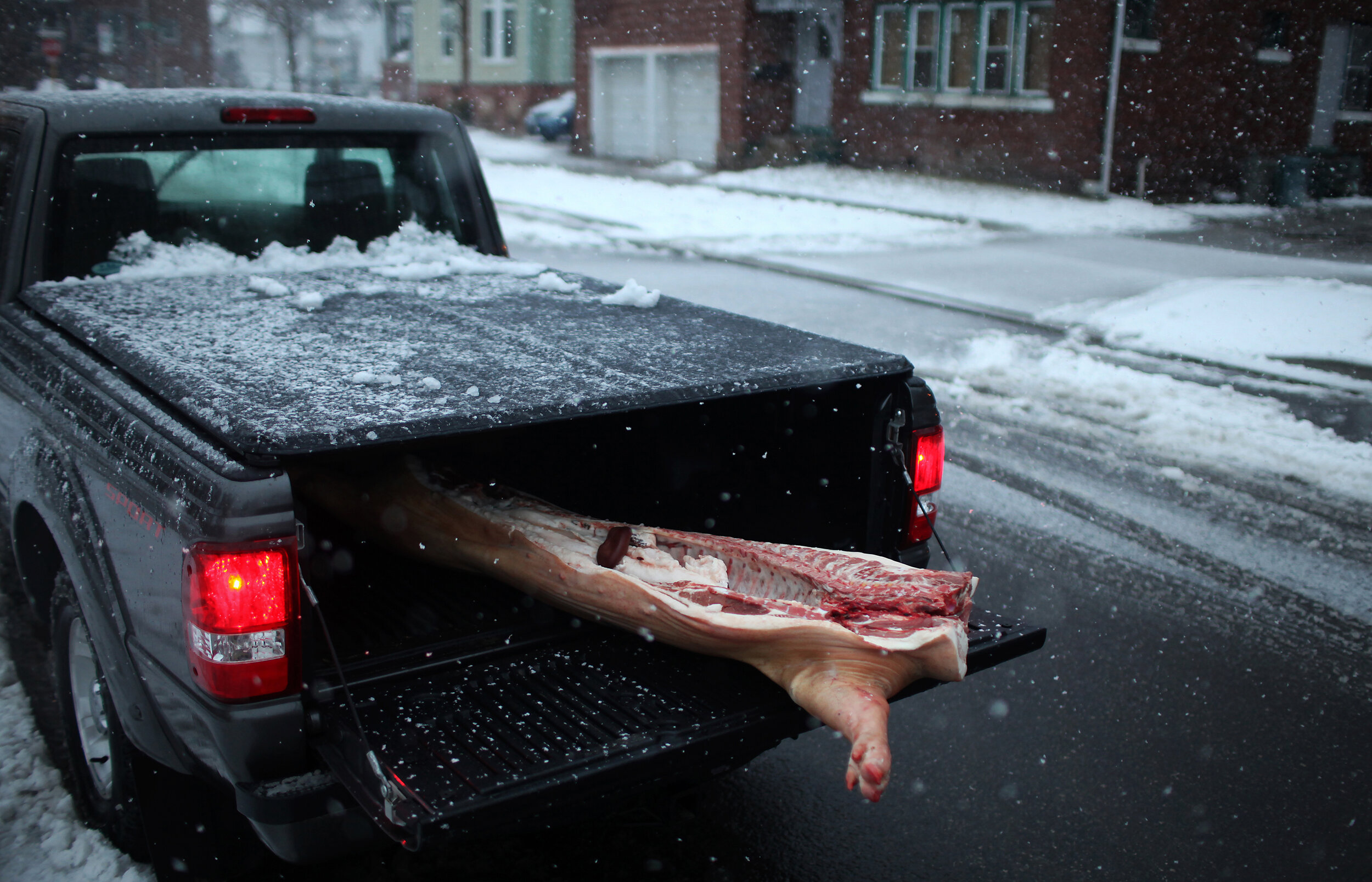 Butcher - 30.JPG
