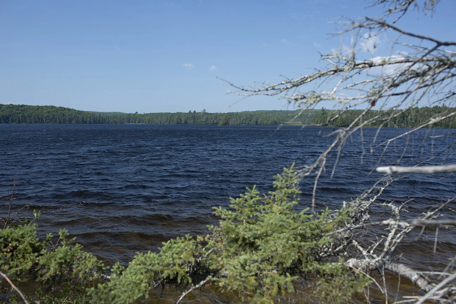 North Arm of Opeongo