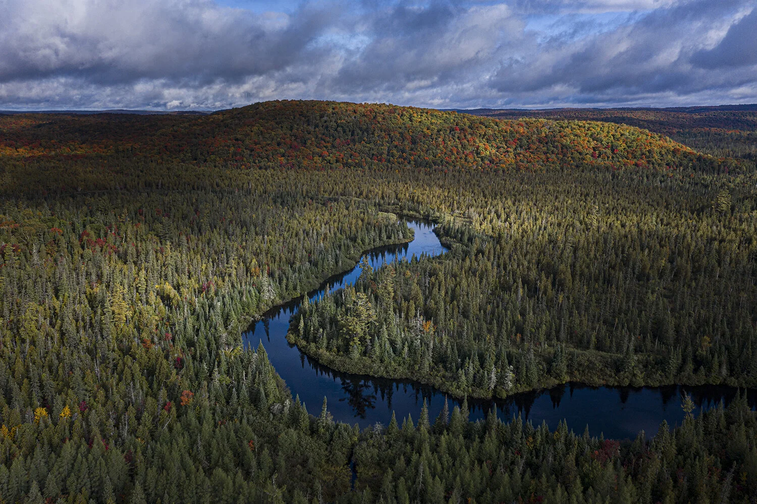 The arrival of Autumn in Algonquin