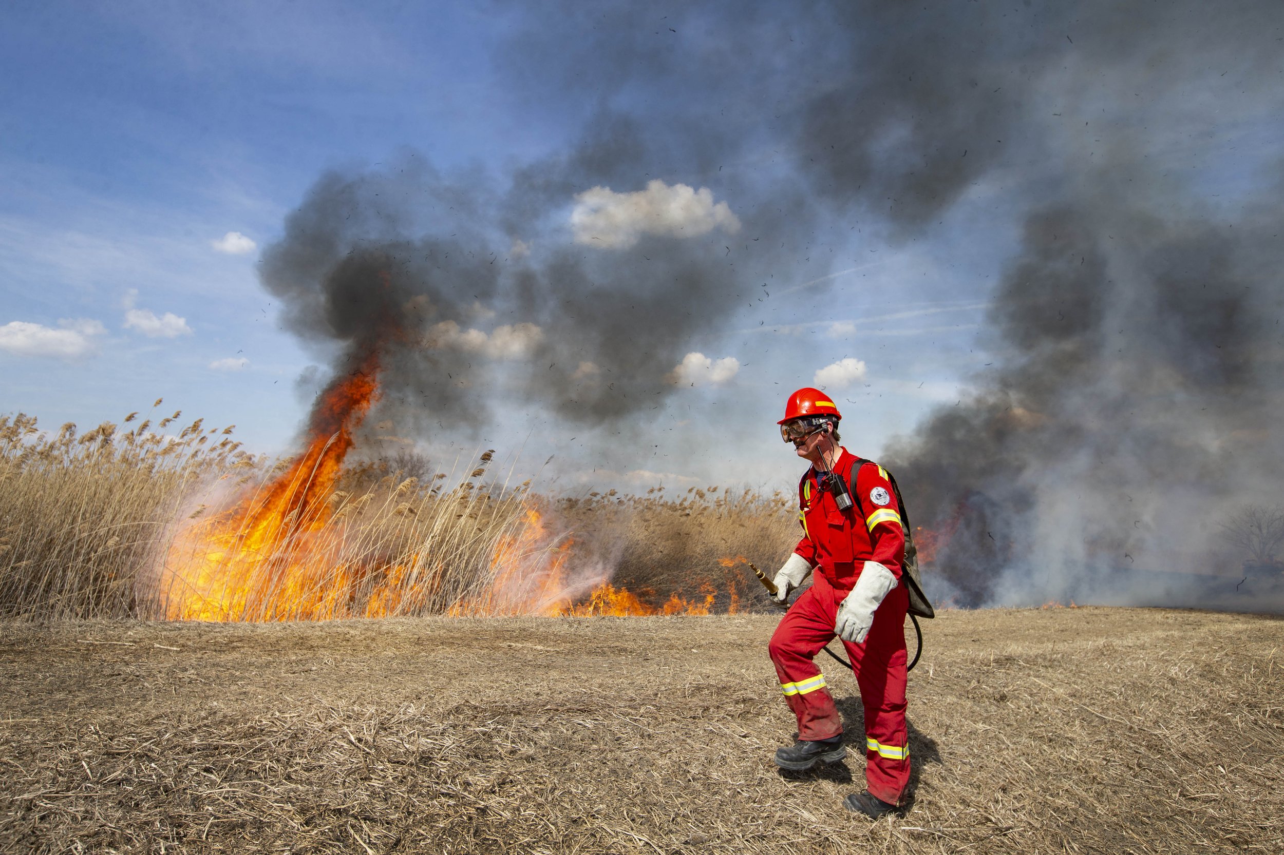 The Collavino Wetland
