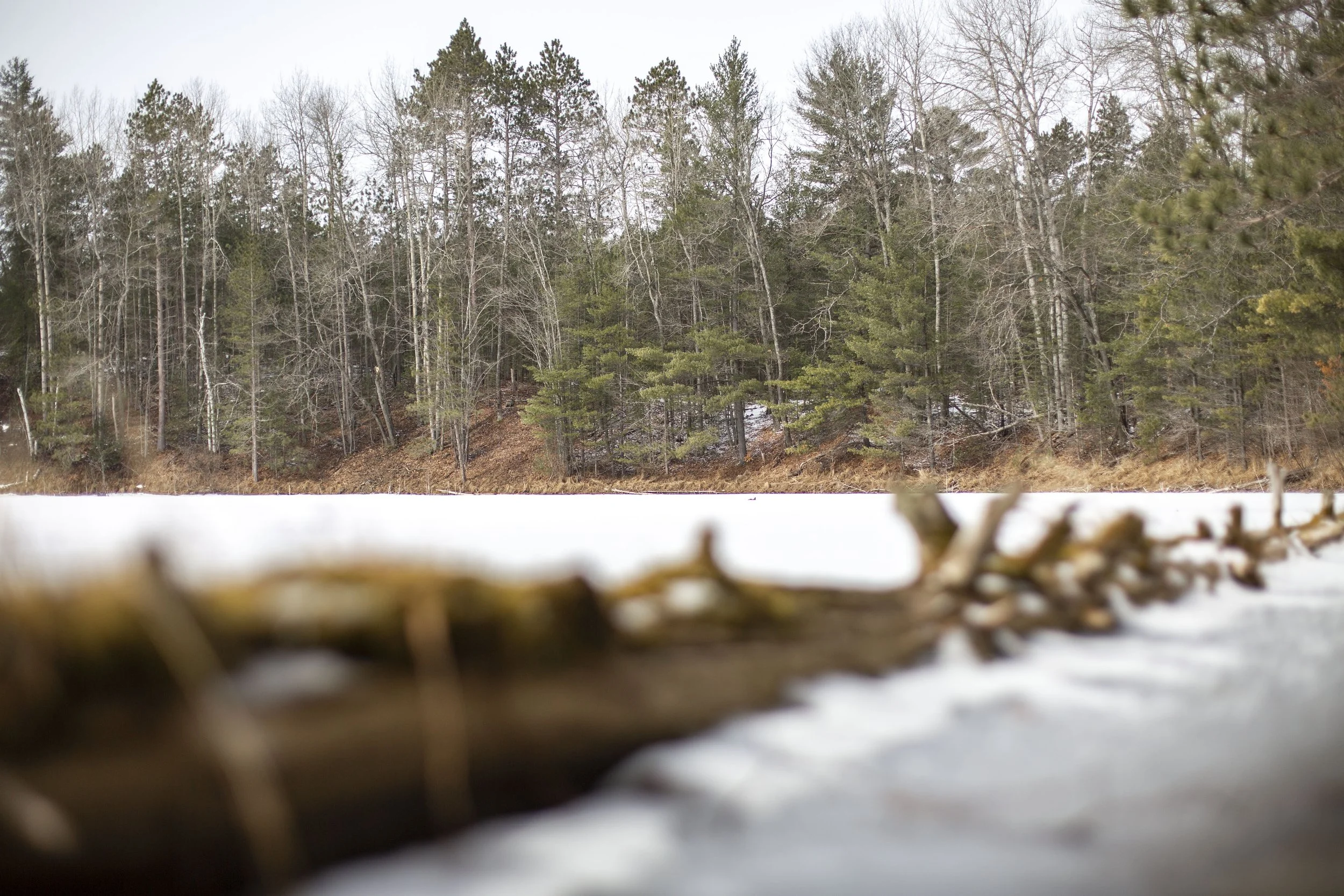 Return to Northern Michigan