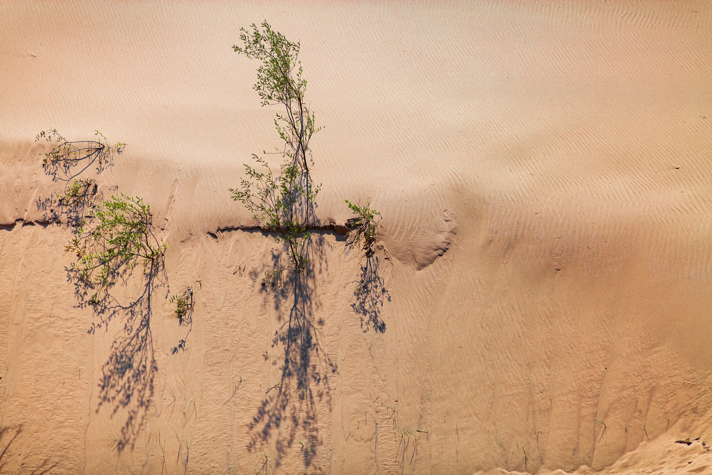 Sleeping Bear Dunes National Lakeshore