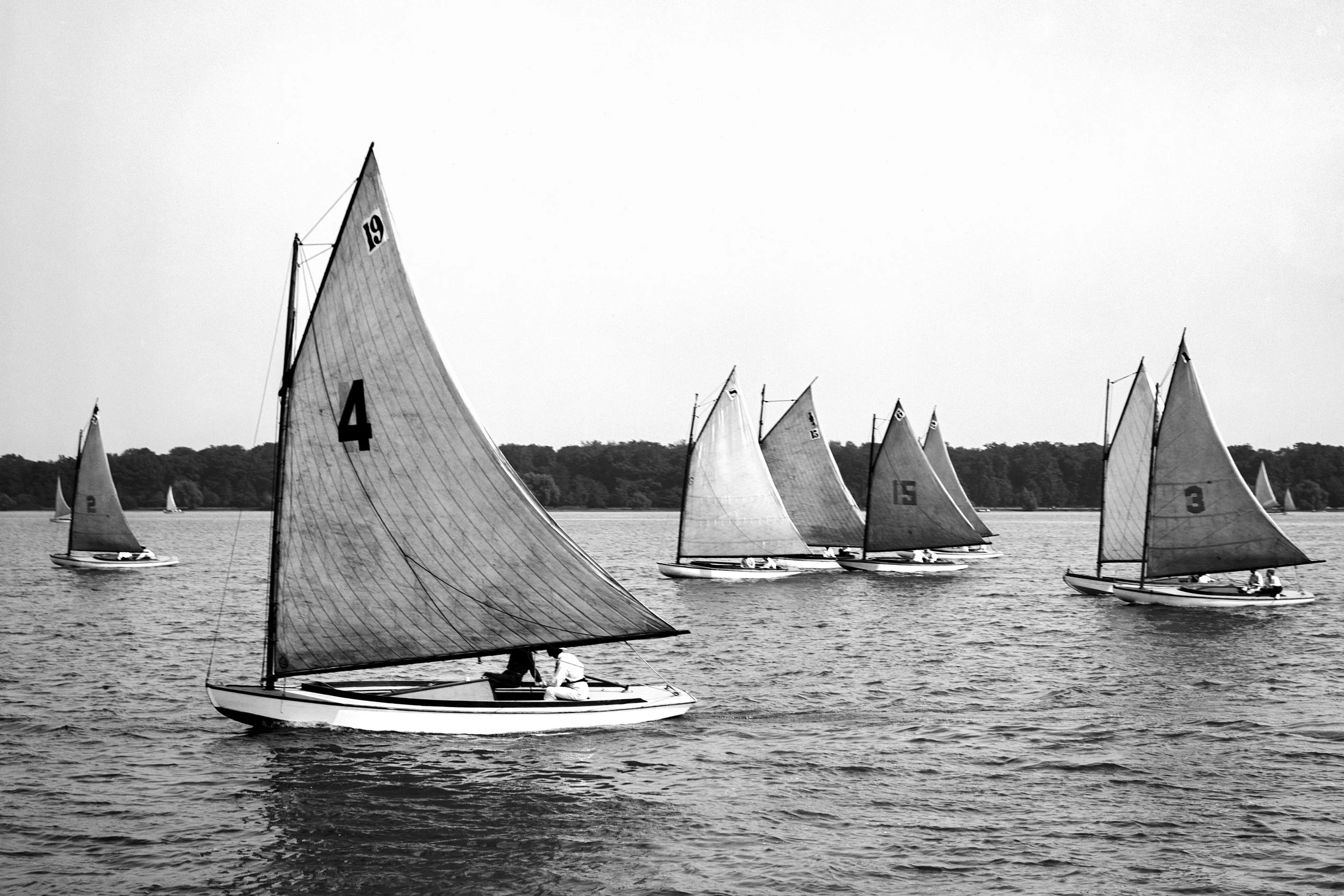 Regatta