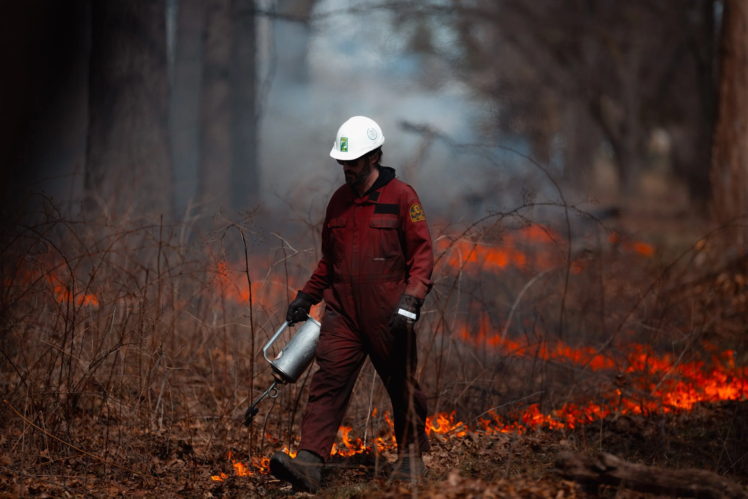 Two days of prescribed burns at the Ojibway Prairie Complex. 