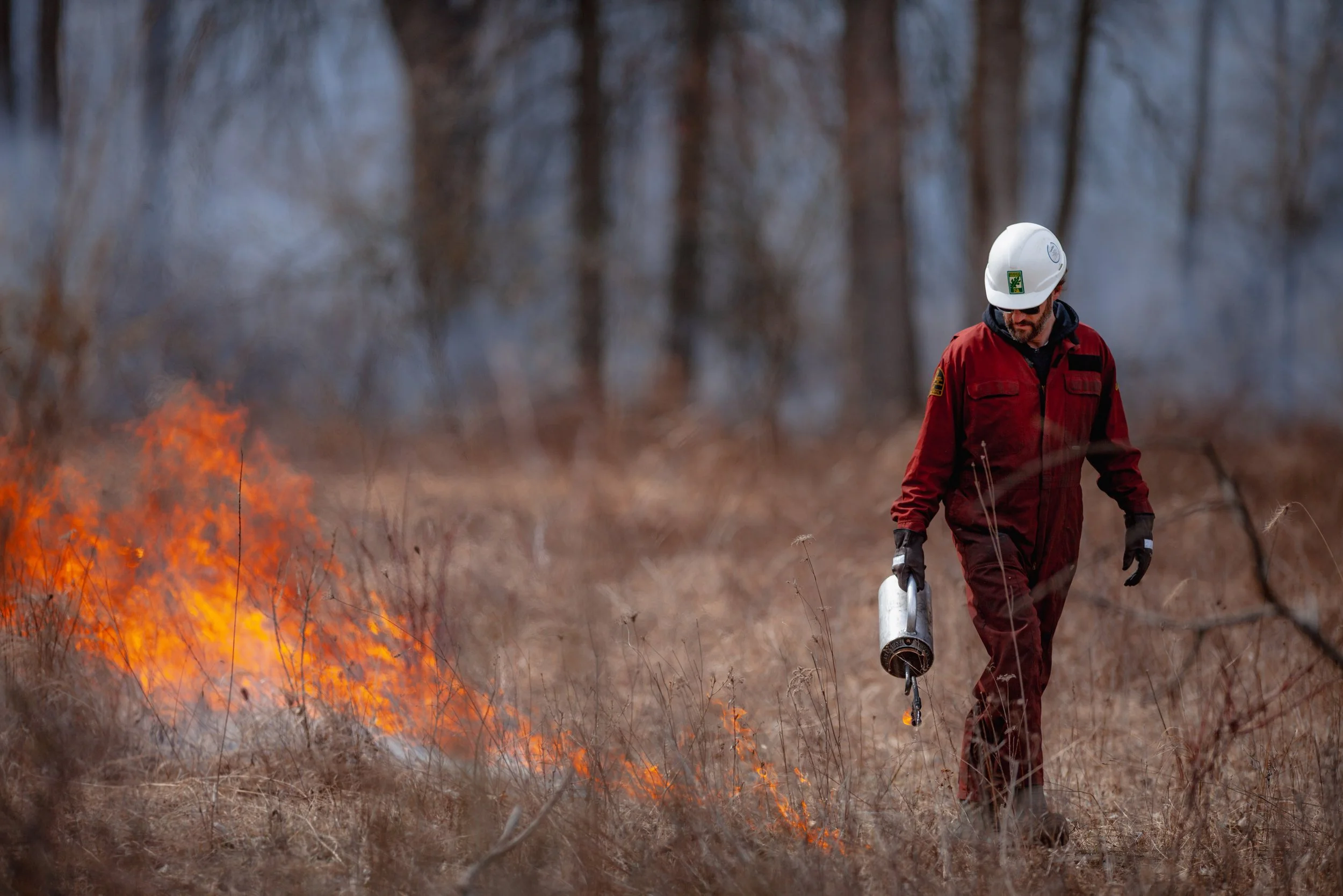 Prescribed burns in the Ojibway Prairie Complex