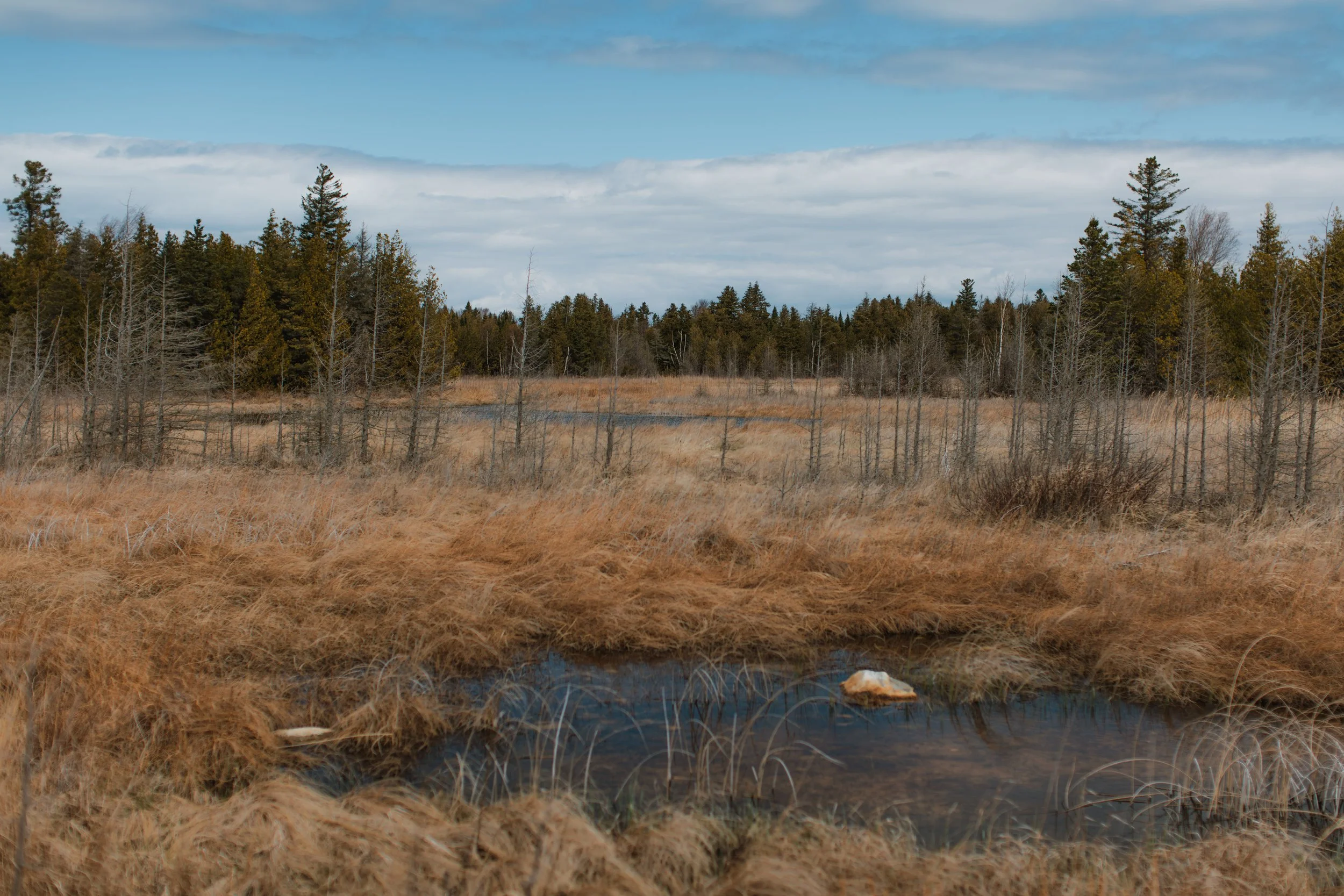 Wilderness State Park