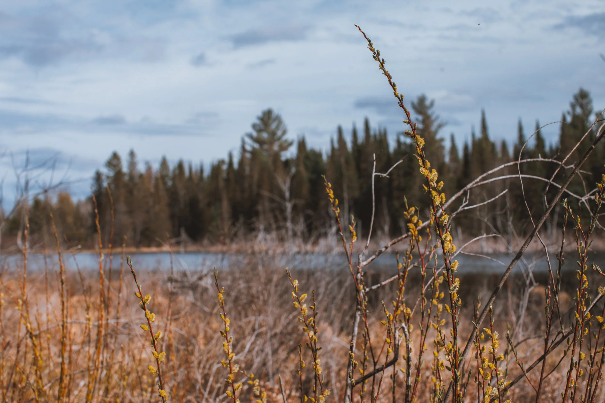Johnson Crossing Grade and Tubbs Creek