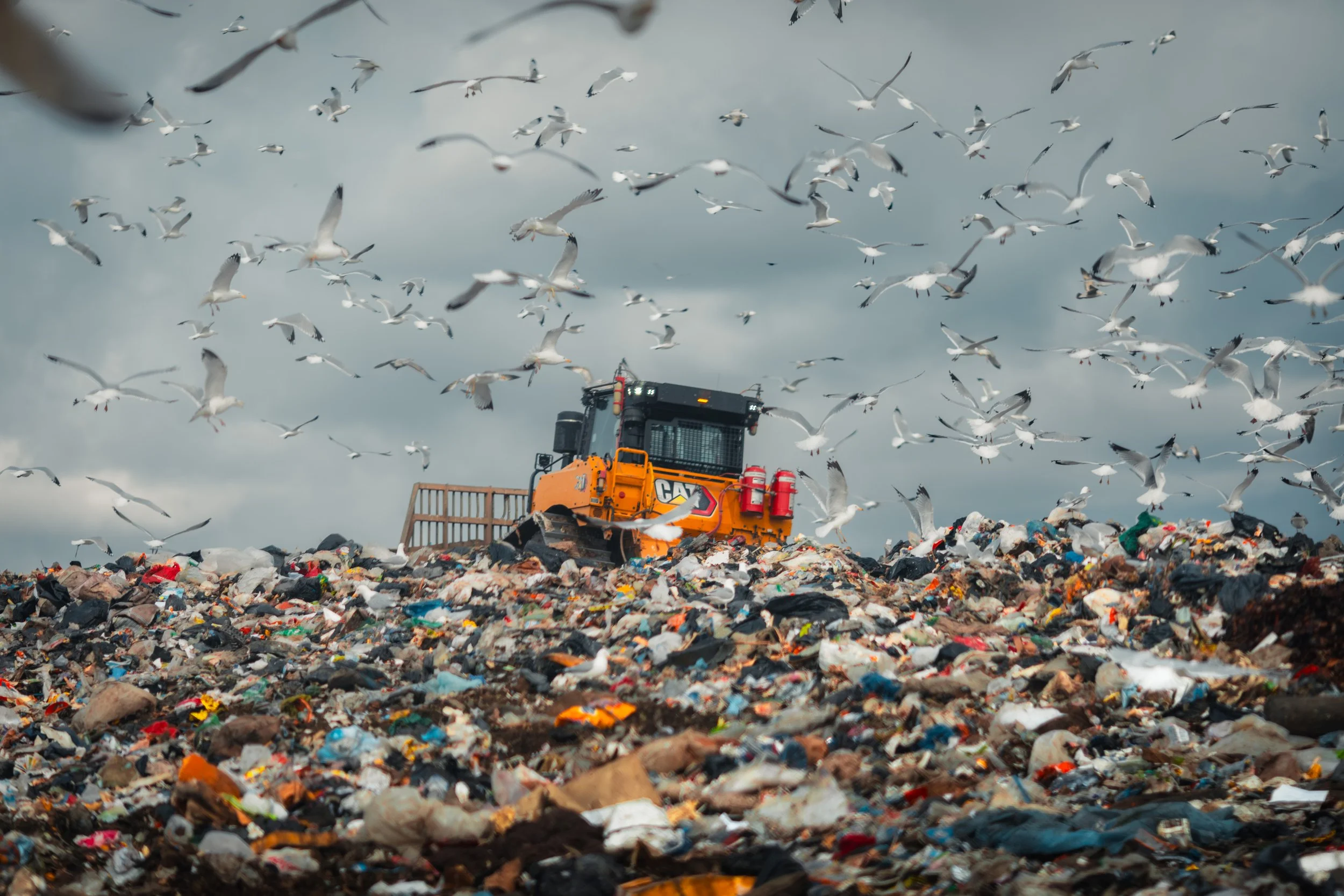 Solid Waste Authority