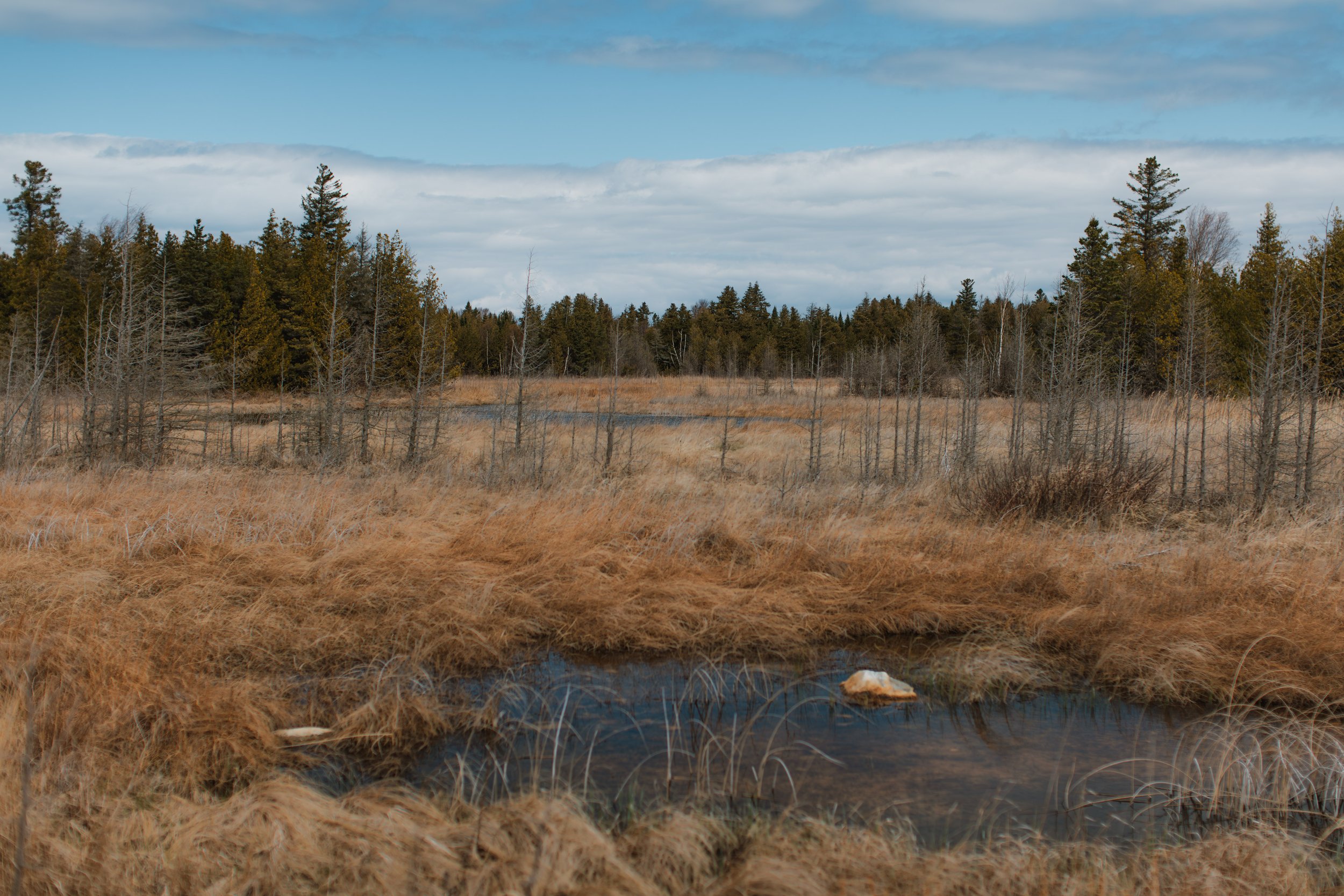 Wilderness-60.JPG