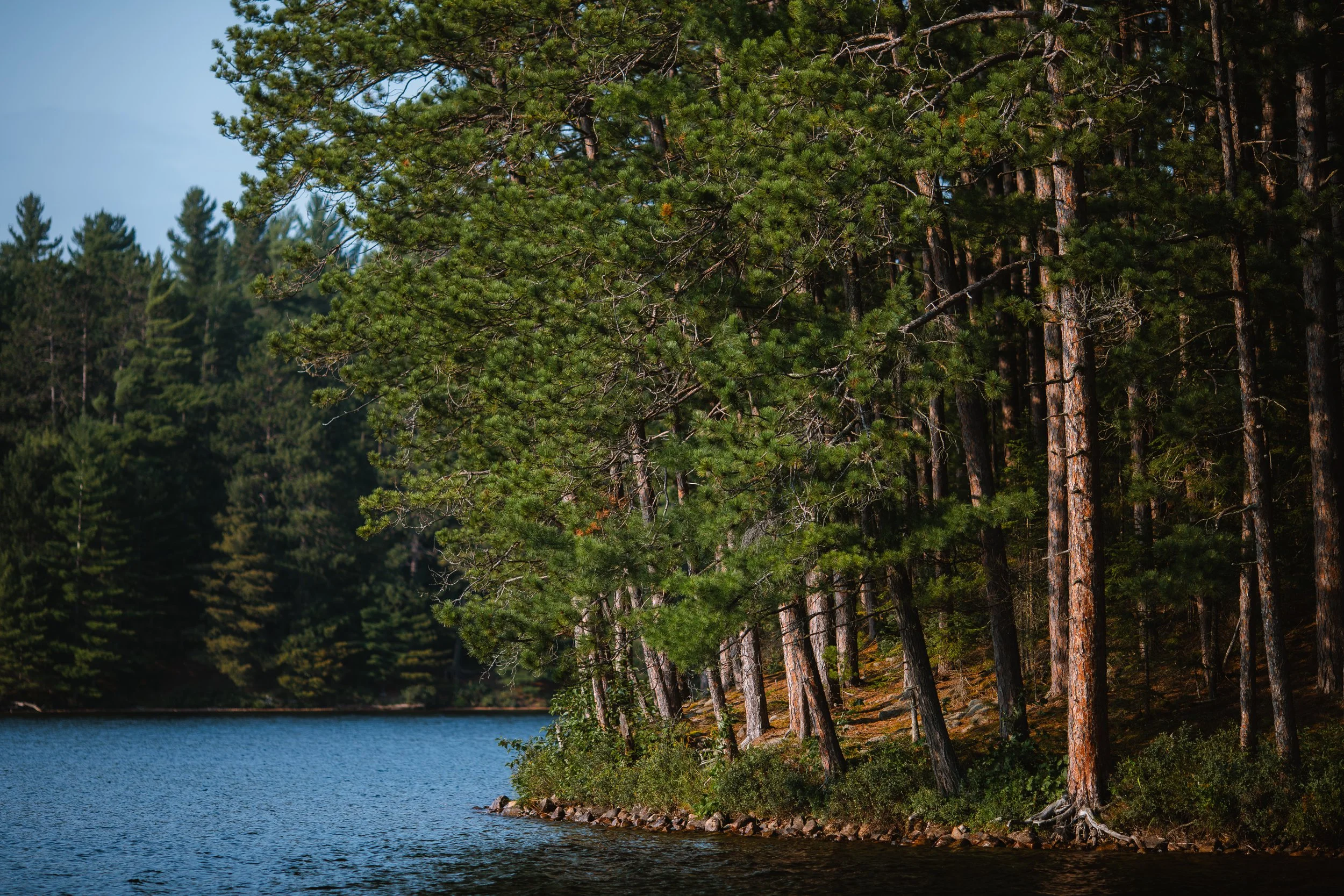 Algonquin Provincial Park (July 2024)