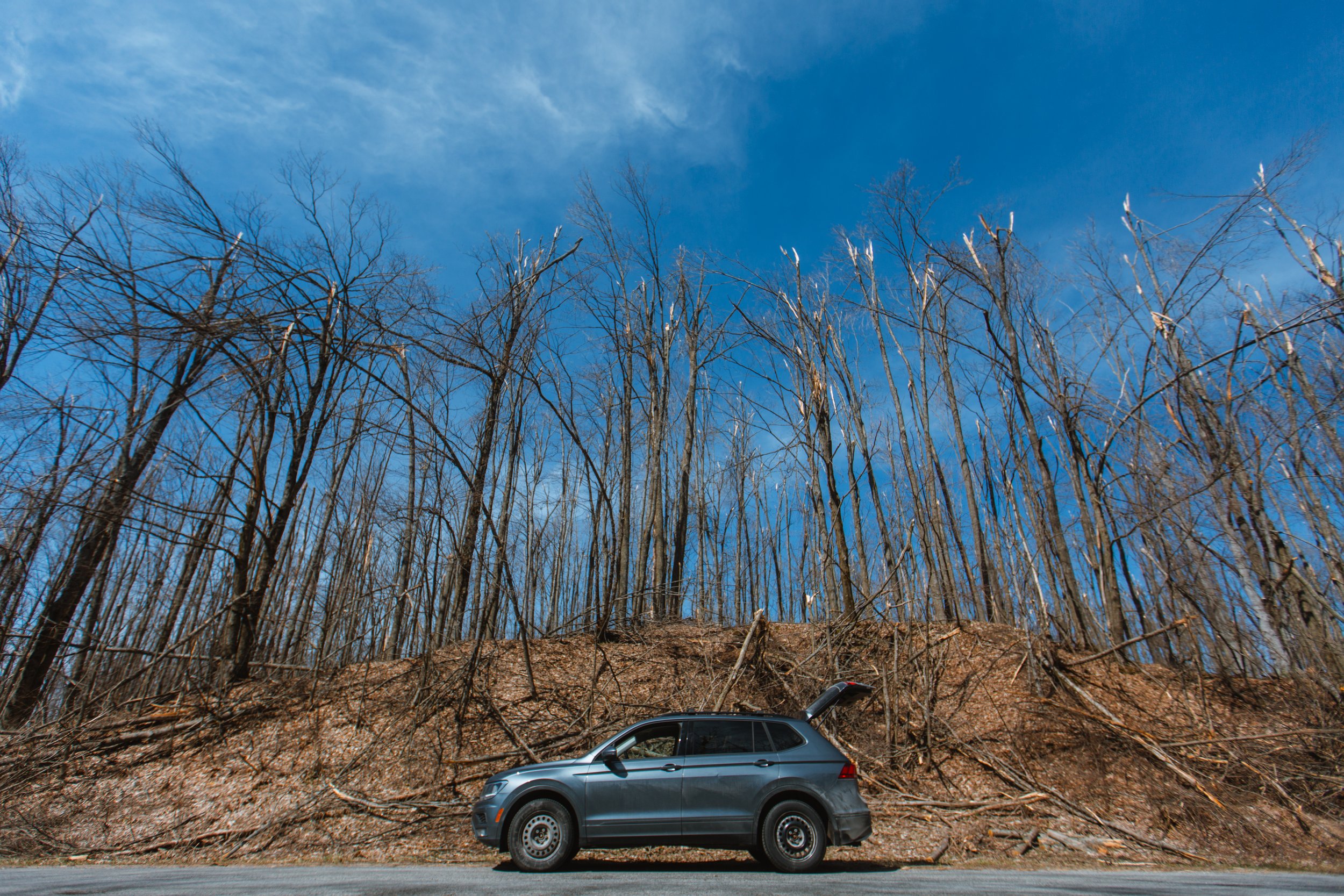  Images like this, with entire treetops ripped off, are EVERYWHERE. Entire woodlots are completely cutdown. 