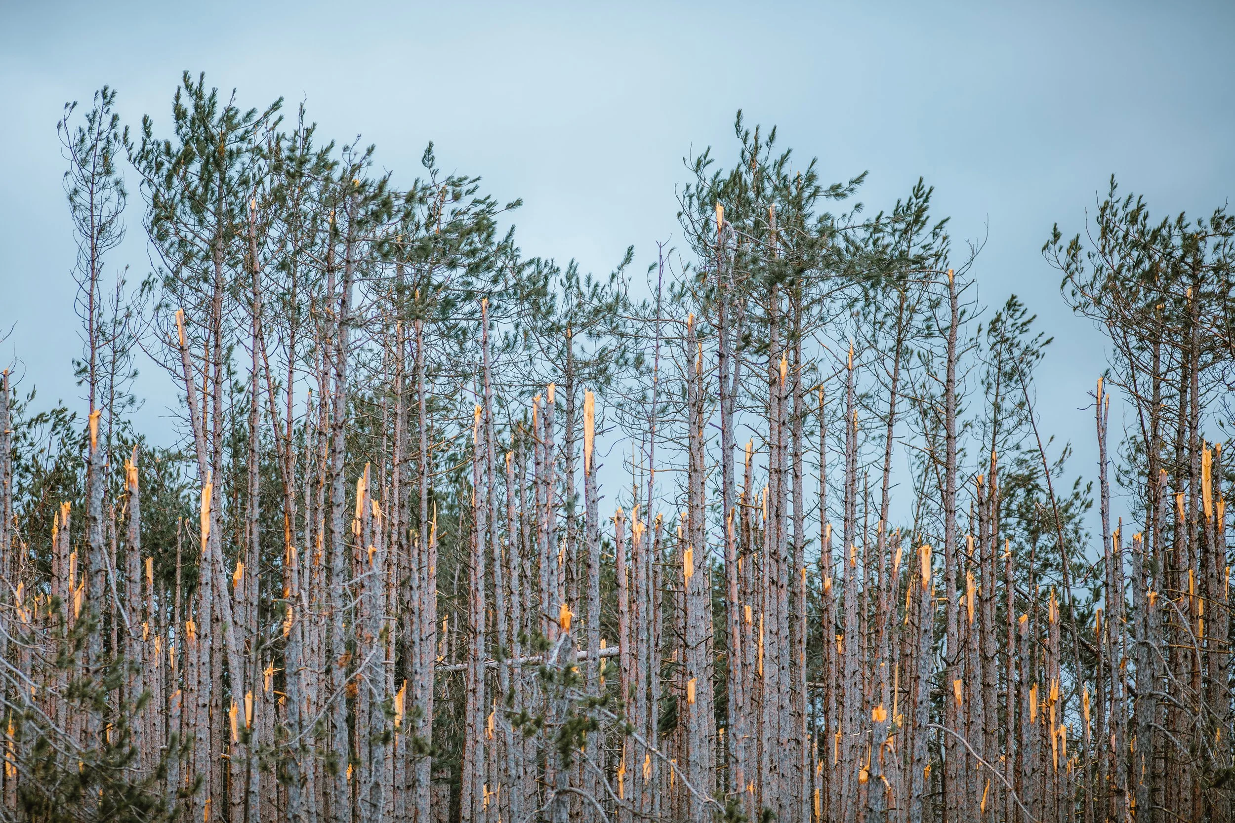 The Destructive Power of Ice