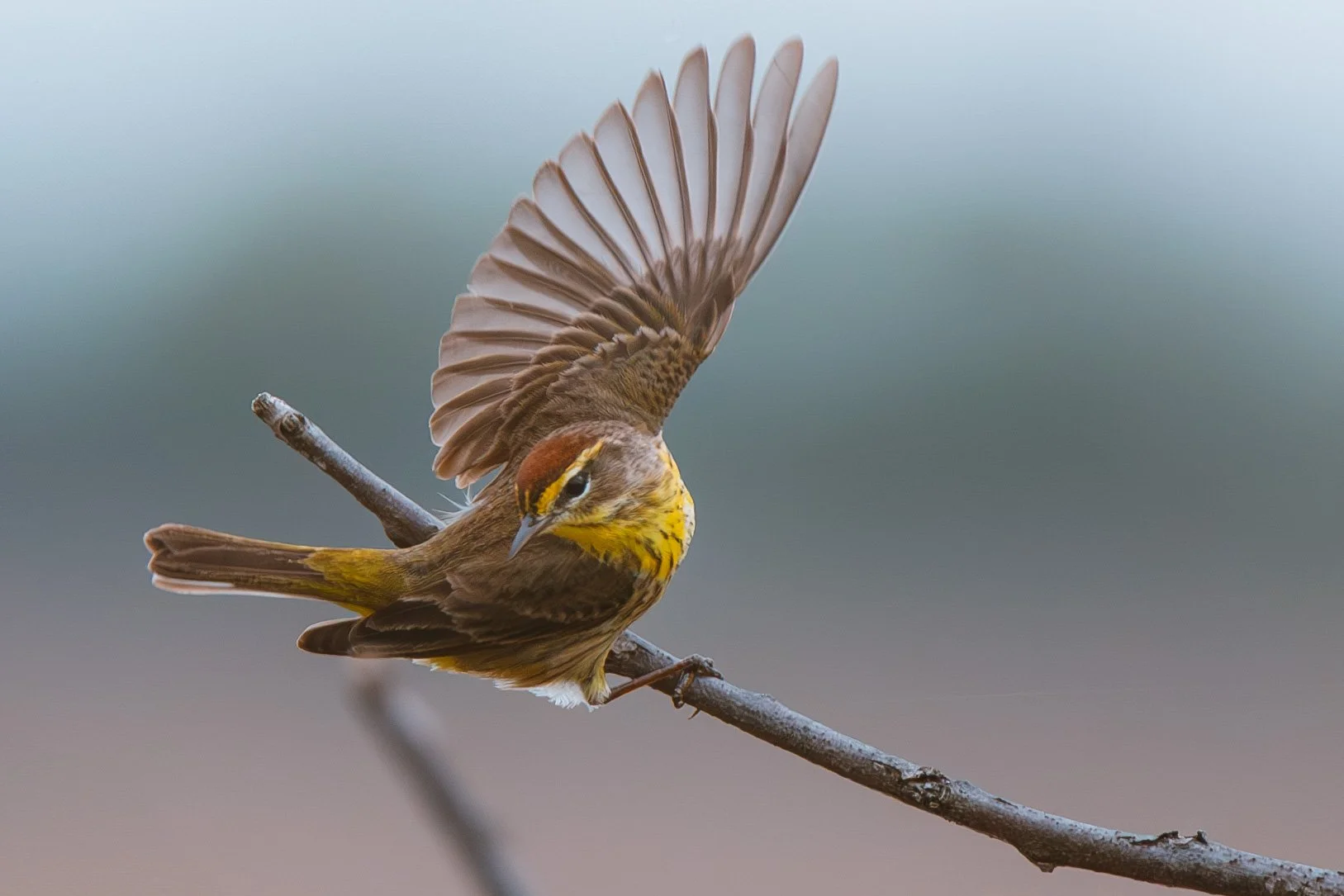 St. Clair National Wildlife Area