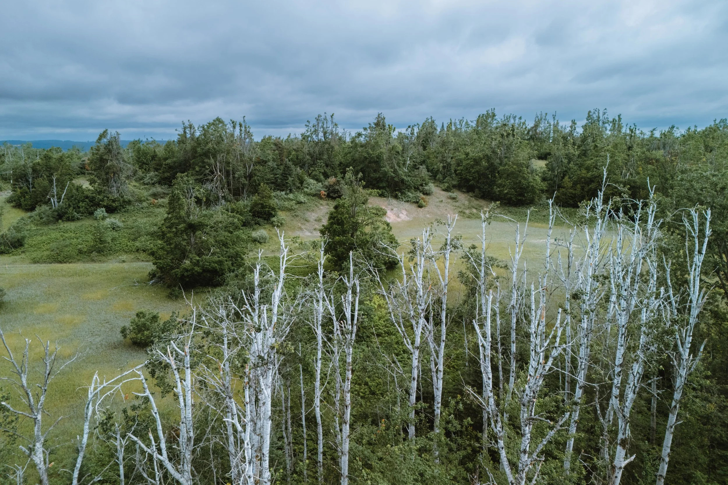 Cottage Ice Storm Update