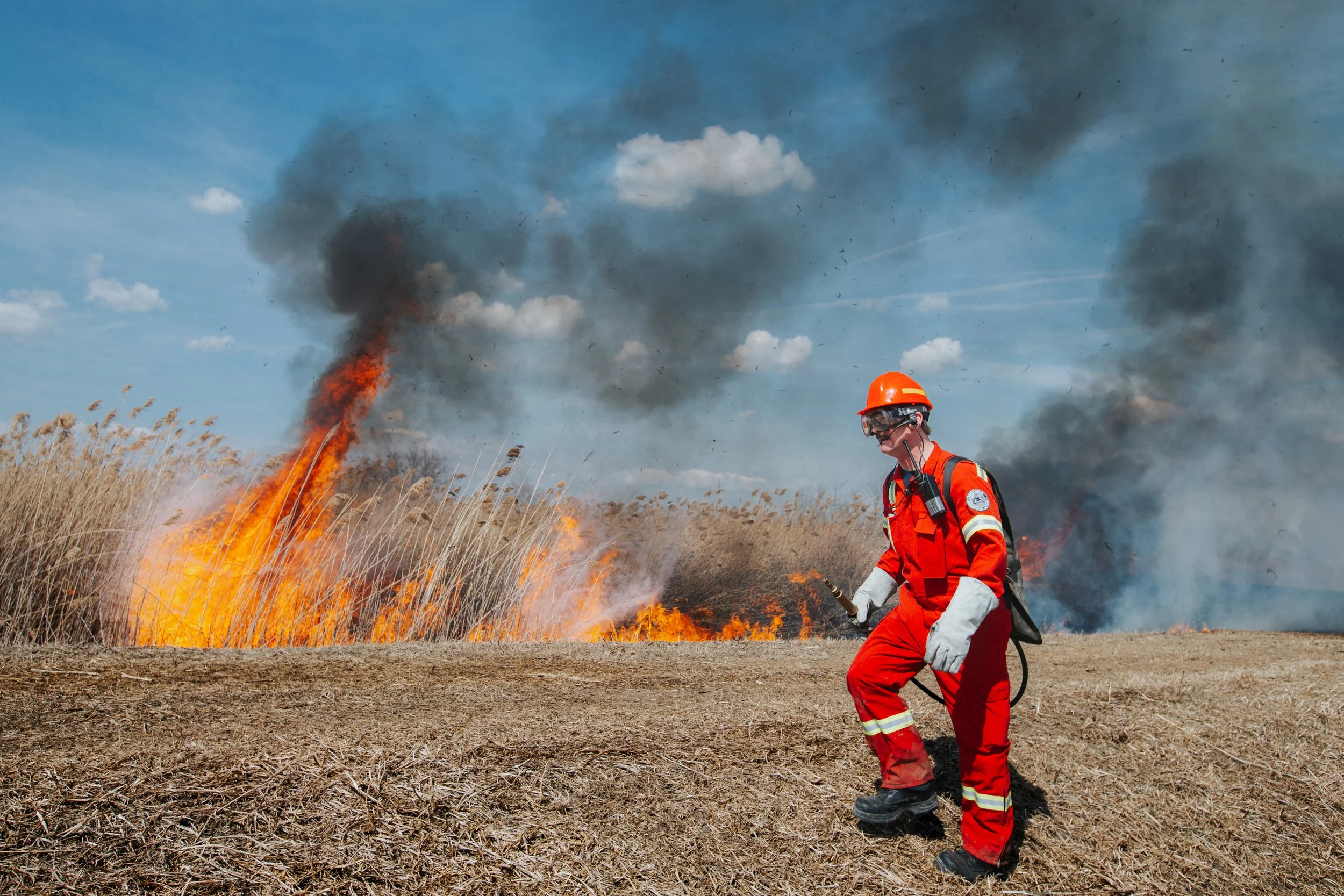  Dan Lebedyk, a biologist/ecologist at the Essex Region Conservation Authority, monitors a prescribed burn of approximately 17 hectares of Phragmites within the Callavino Wetland (for the Windsor Star, 2022.)  