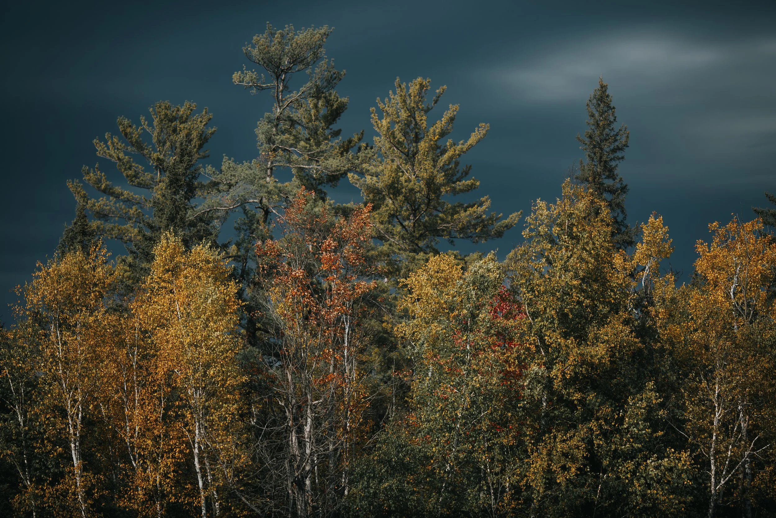 Johnson Crossing Grade