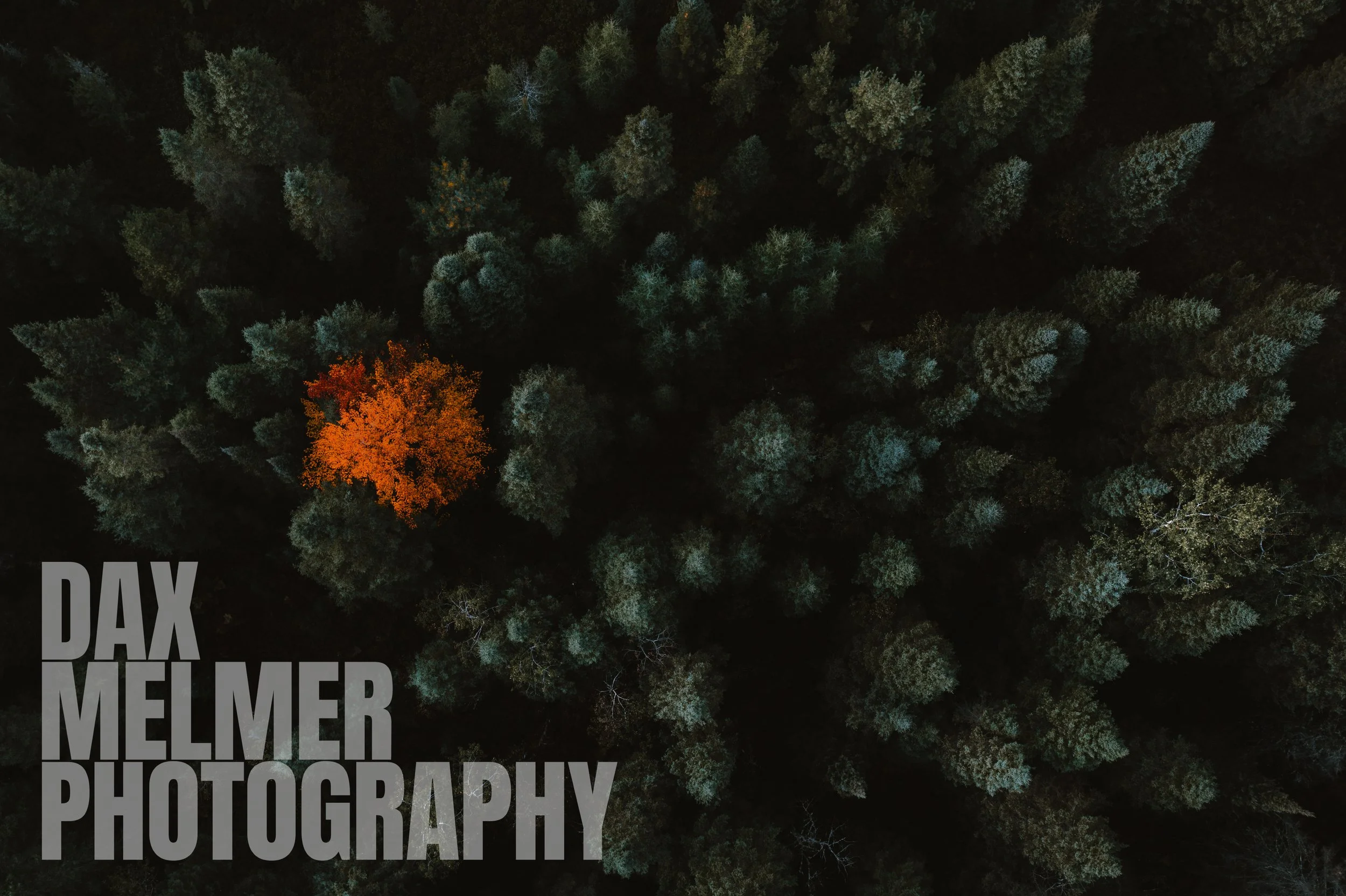 Dancing Alone-1-2.JPG