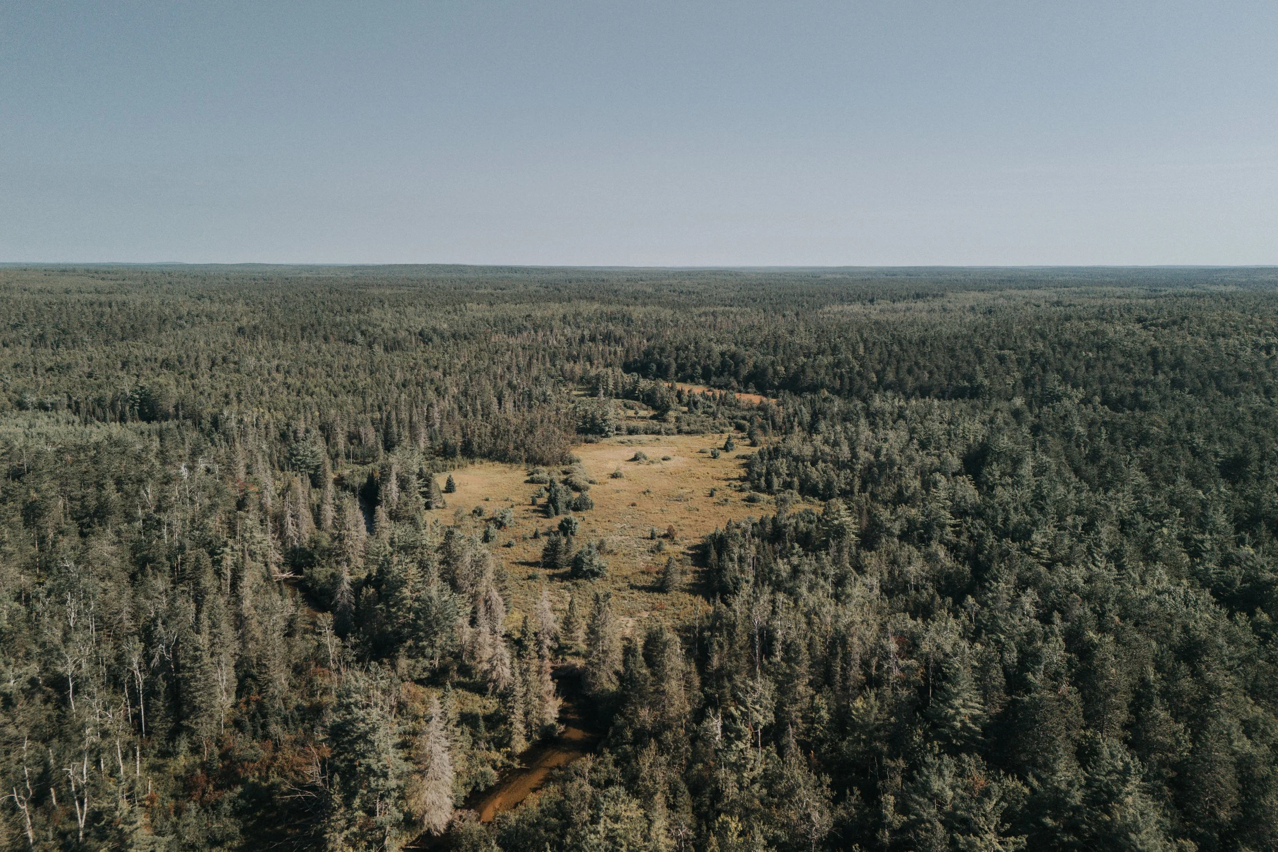 Solo Hiking the Shingle Mill
