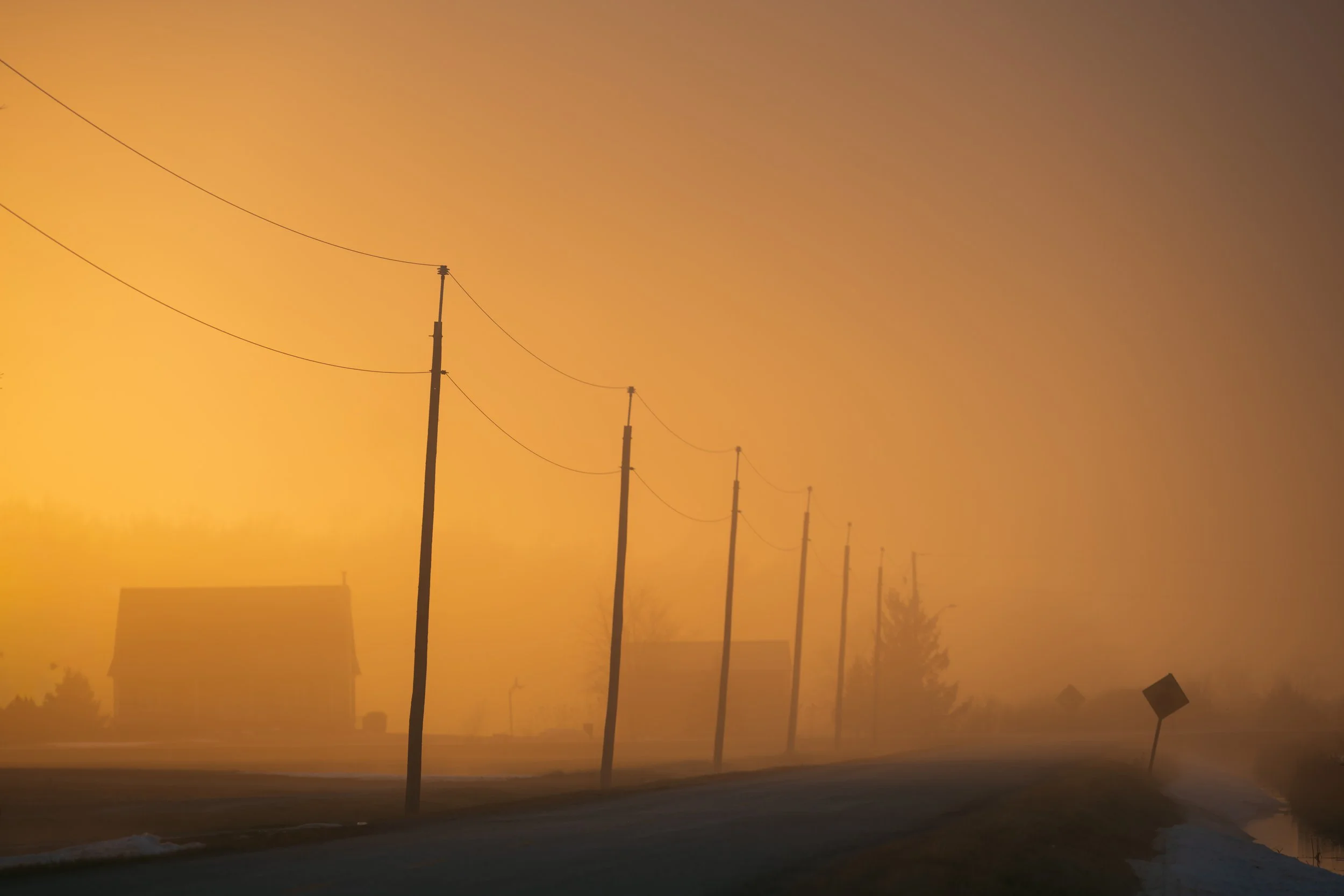Sun Lit Fog