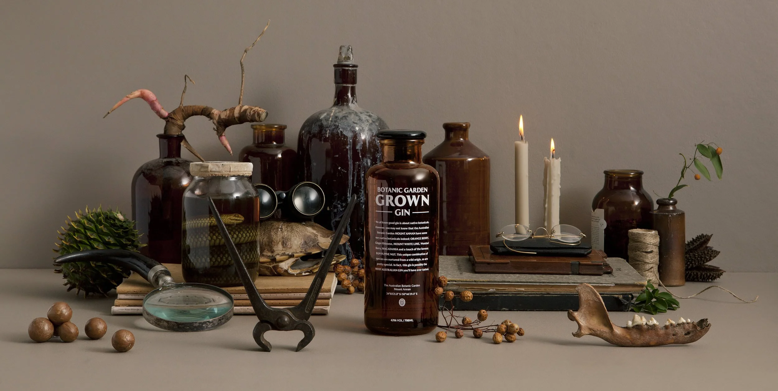 Grown_brown_191.jpg