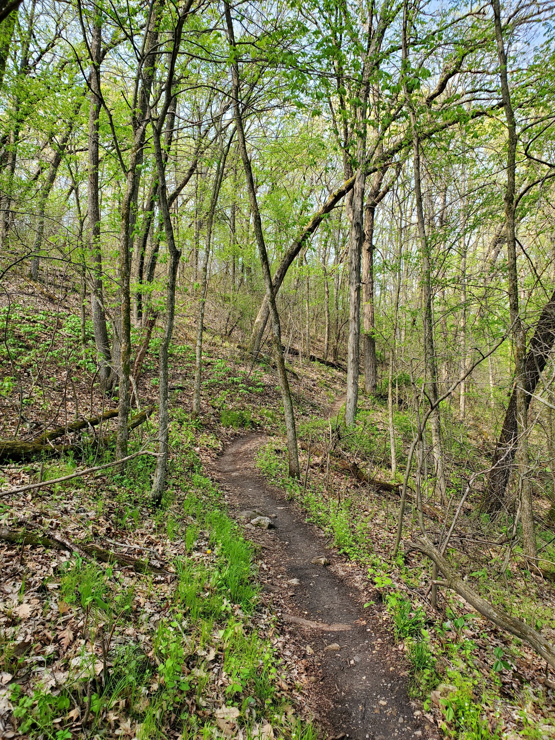 Finding the Perfect Running Trail