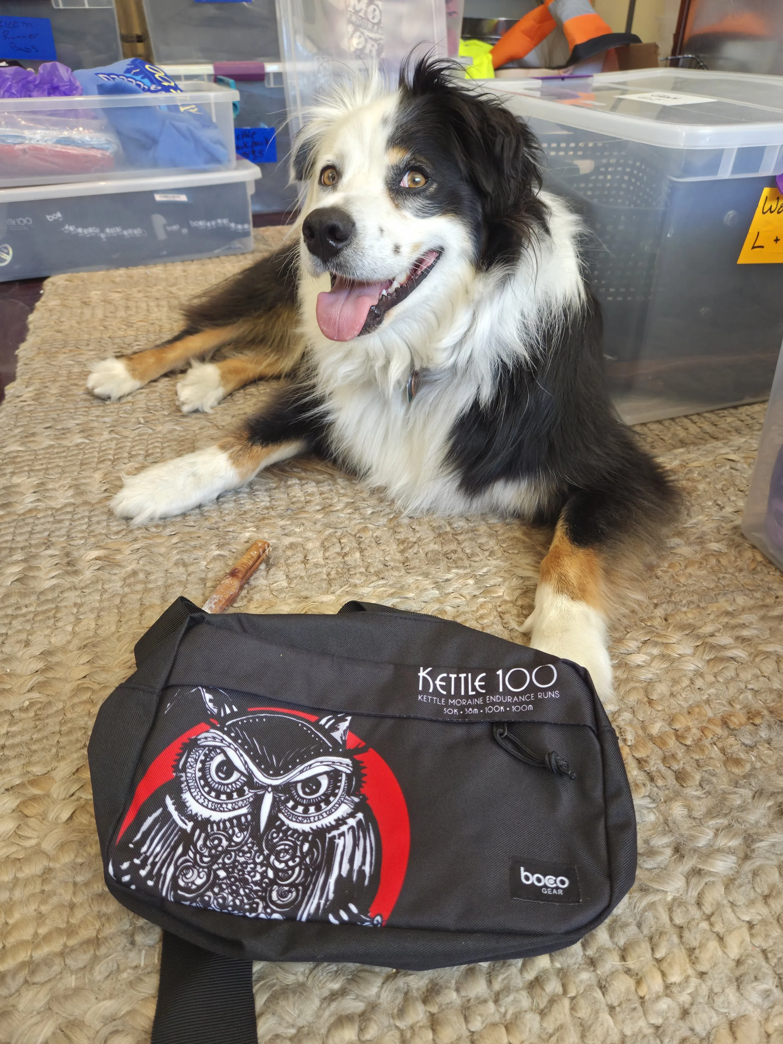 1000003793.jpg