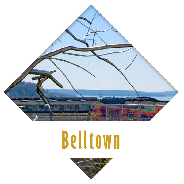 Belltown icon