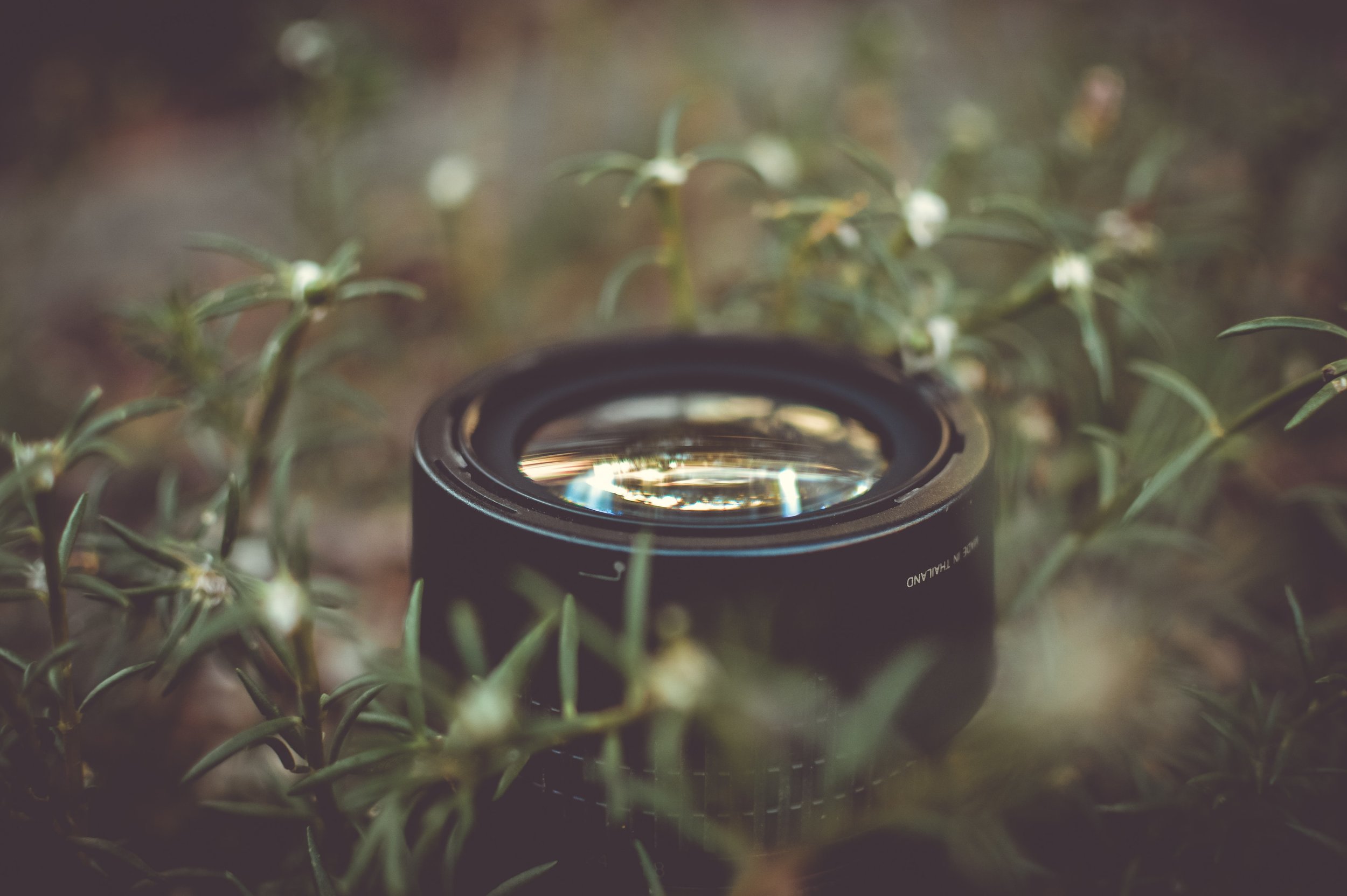 PHOTOGRAPHY | Matt Martel