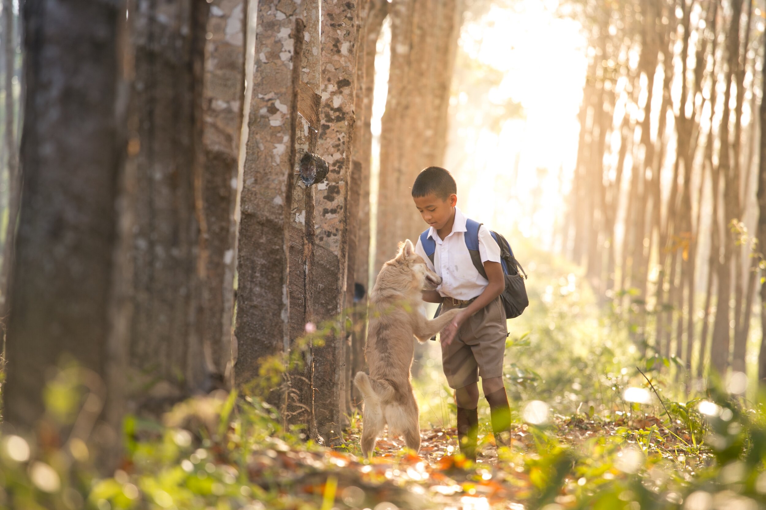 backpack-blur-boy-child-415100.jpg