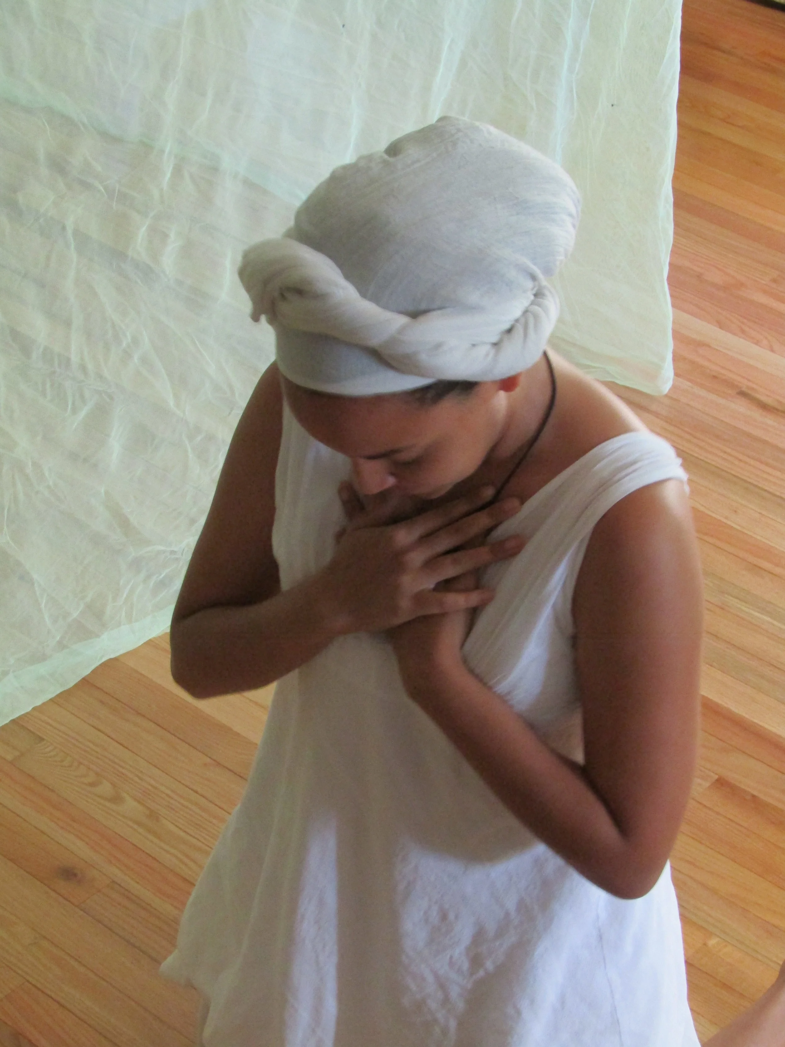 Improv. w/Mosquito net.