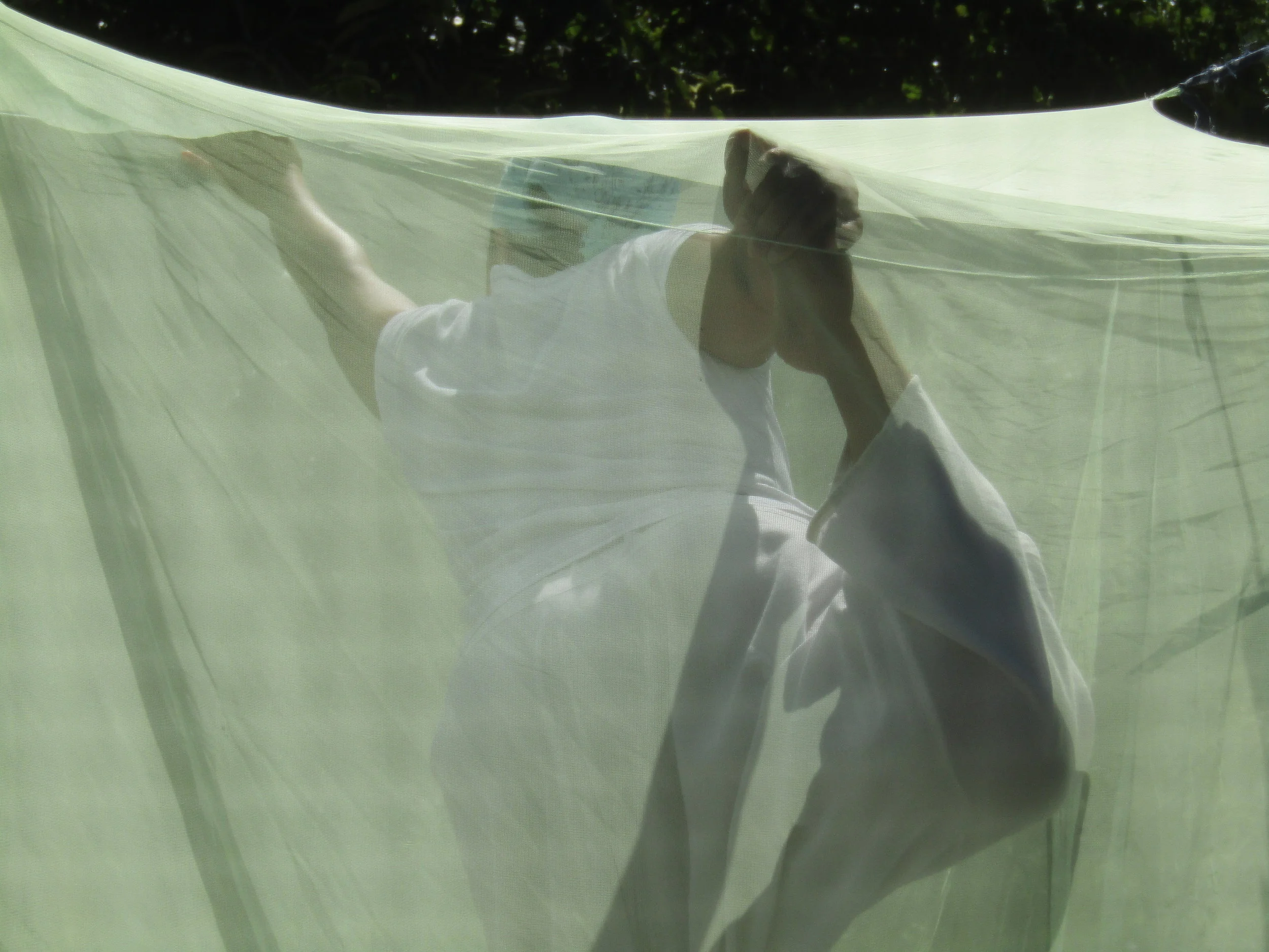 Sequences under Mosquito net.
