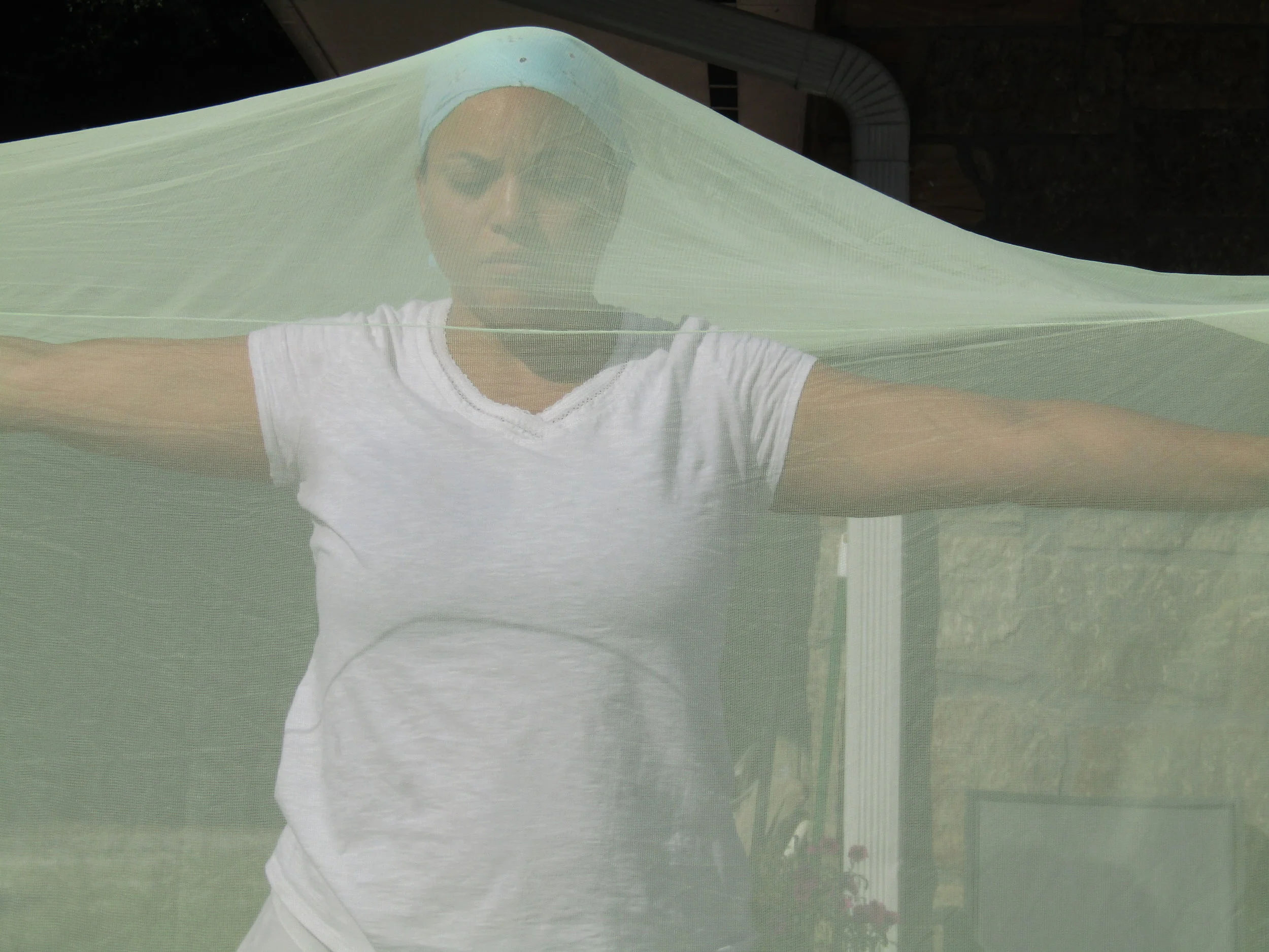 Sequences under mosquito net