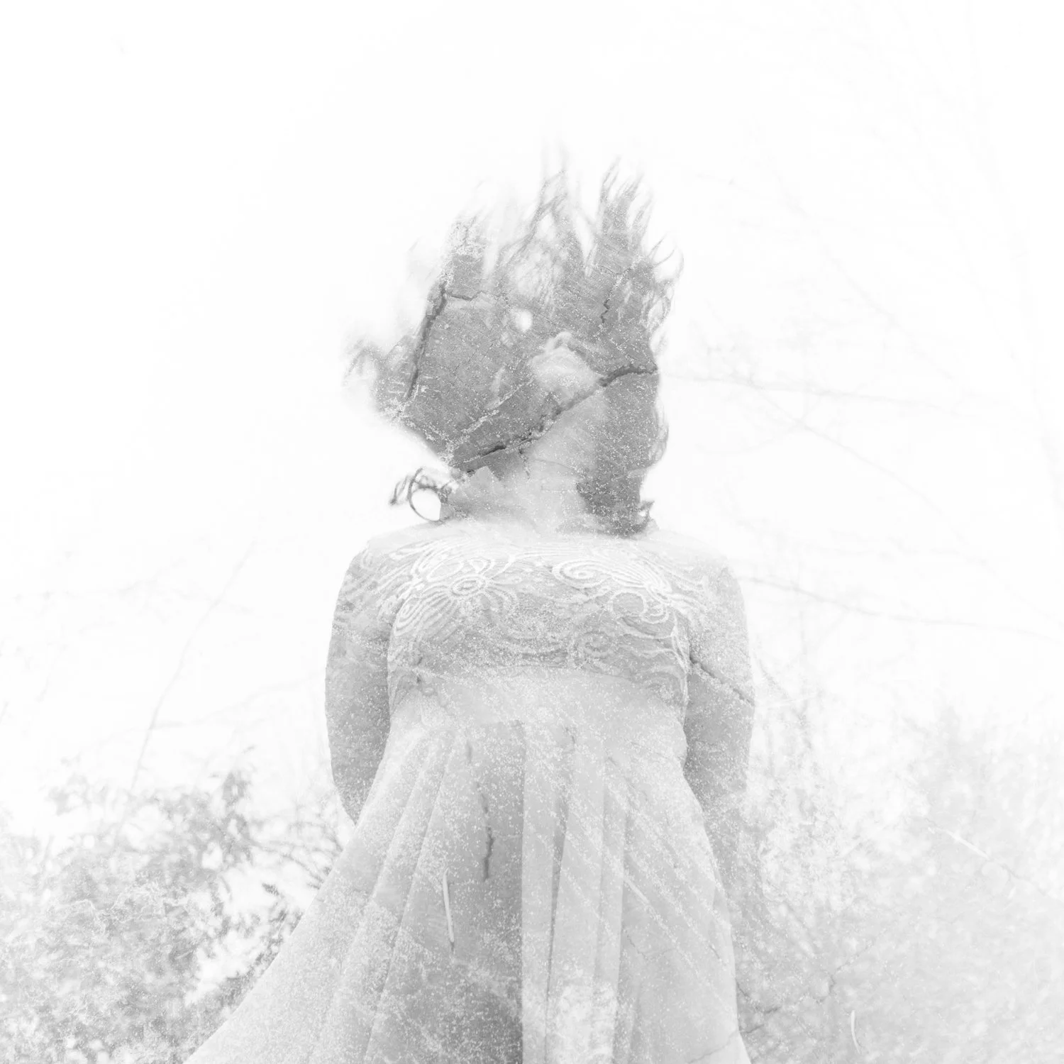 "Winter Winds: Part One" [2019]
