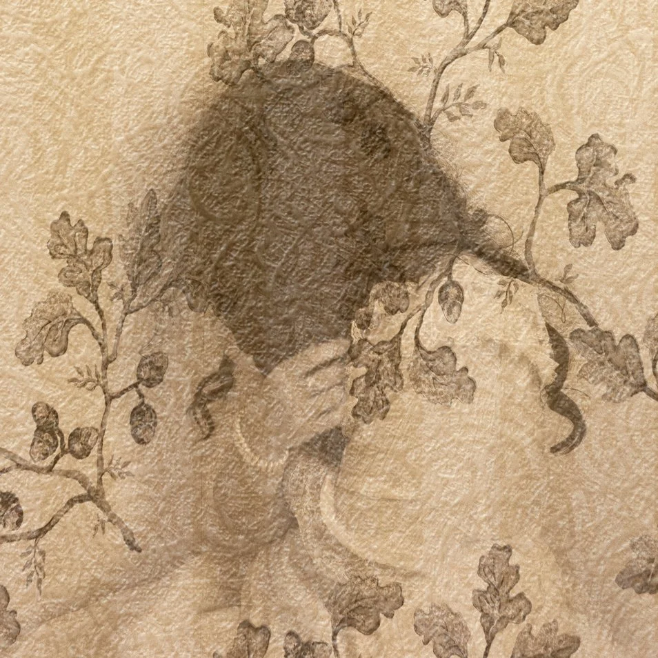 2019-Fade-Detail.jpg