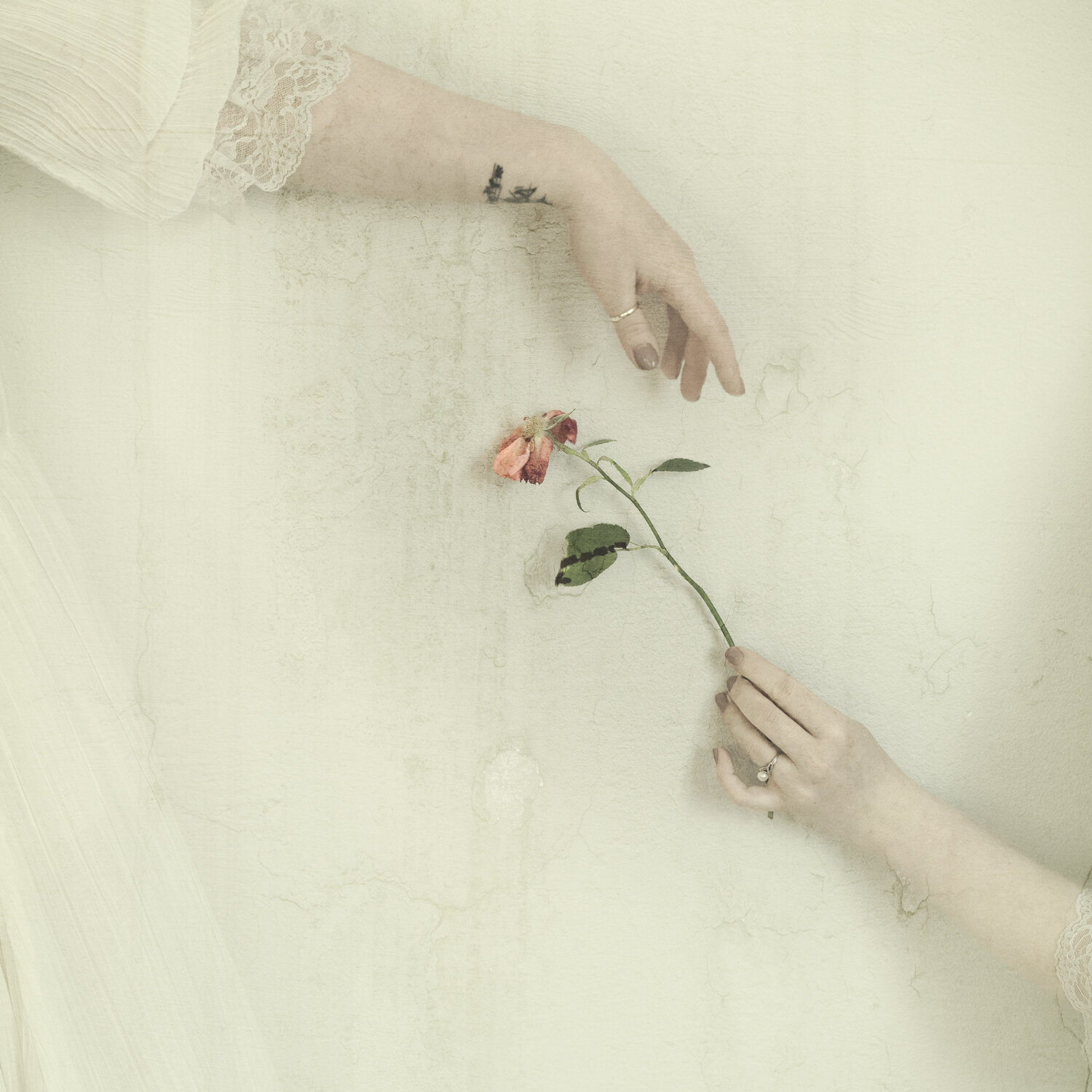 THE-WHISPERS-13.jpg