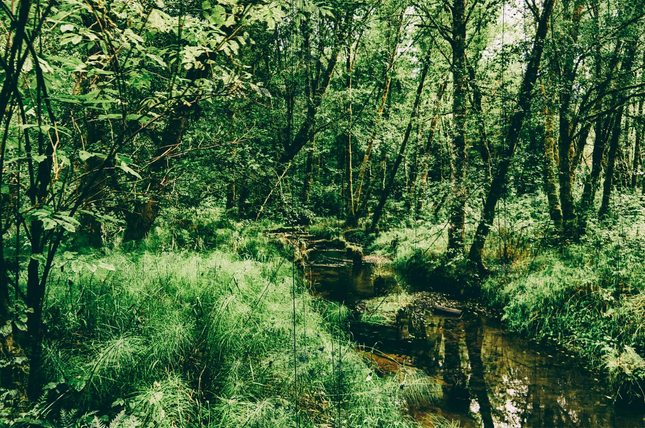 "Sacred Earth" [#10]