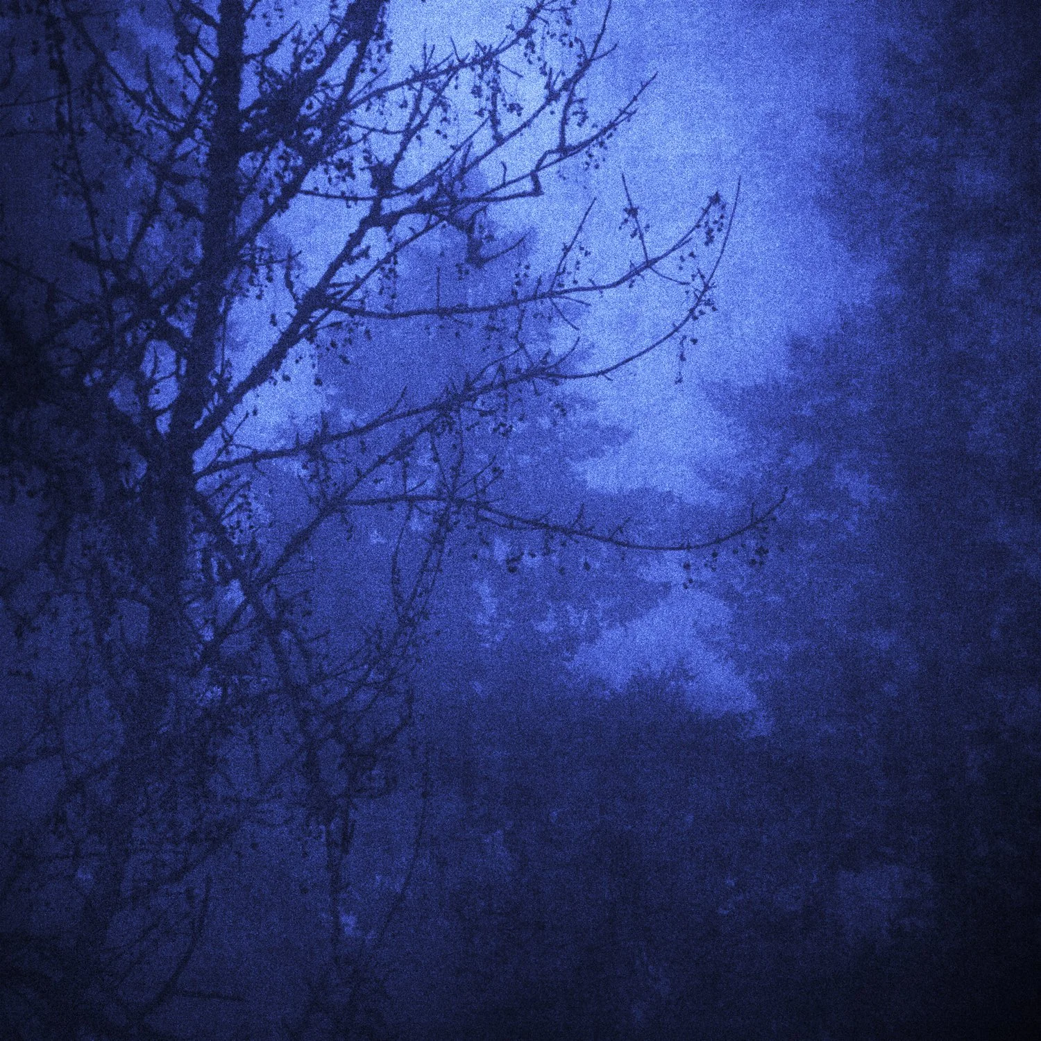 "Sacred Earth: Nocturne" [#3]