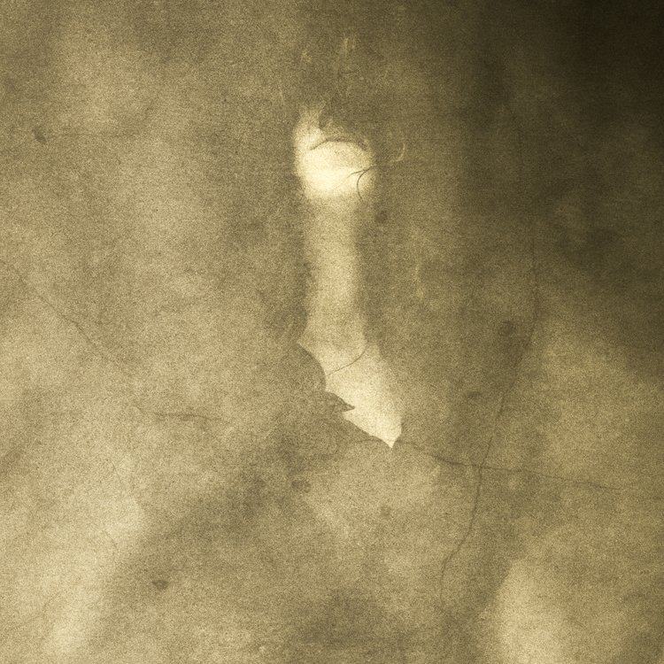 2018-Of-Secrets-and-Shadows-Detail.jpg