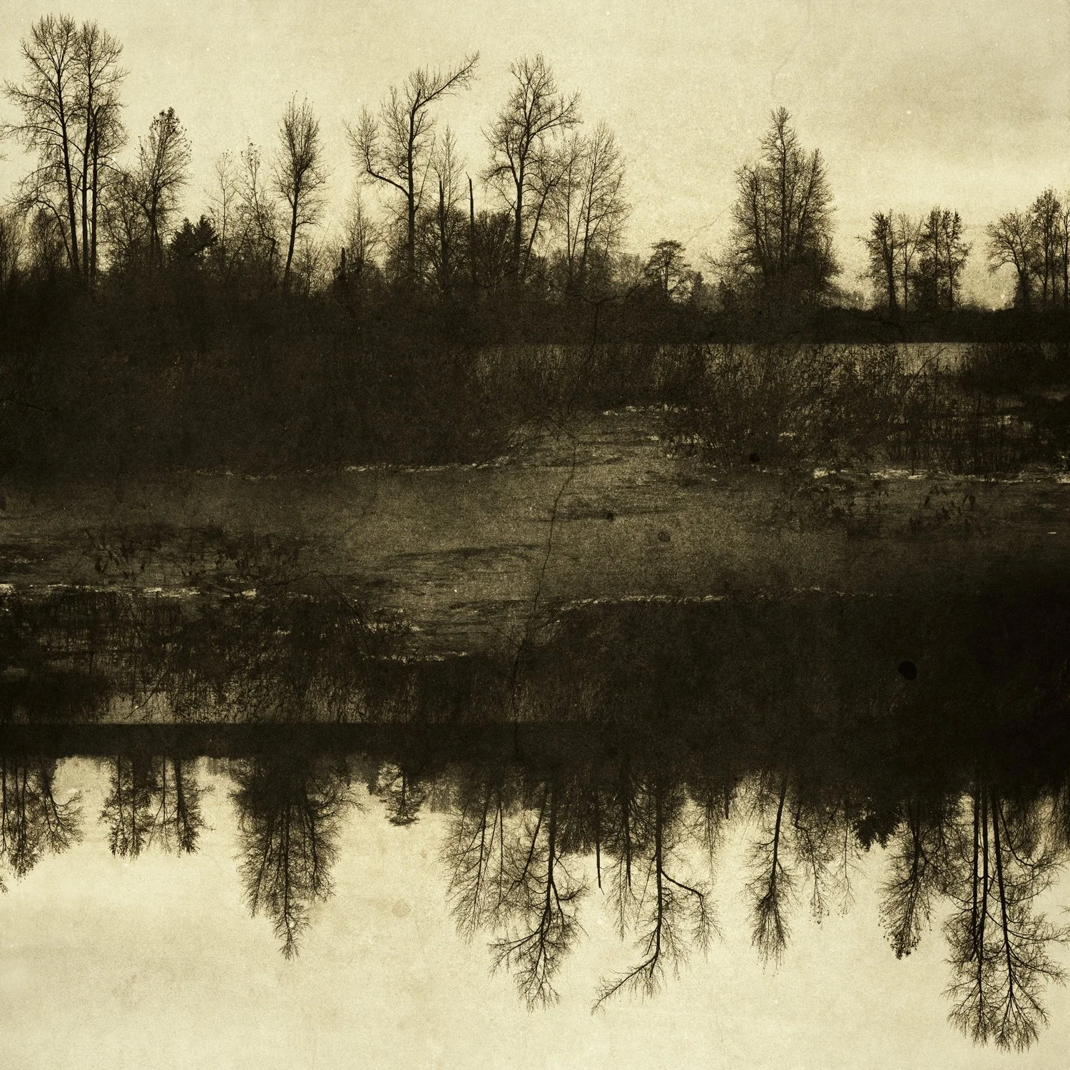 "Sacred Earth" [#63]