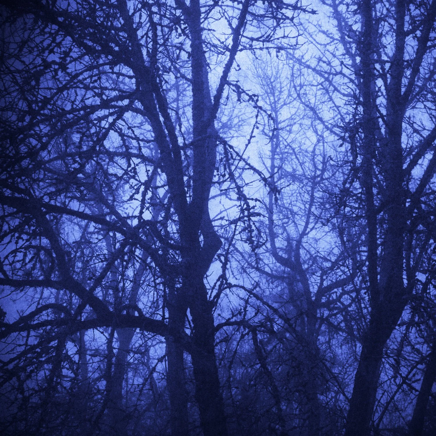"Sacred Earth: Nocturne" [#5]