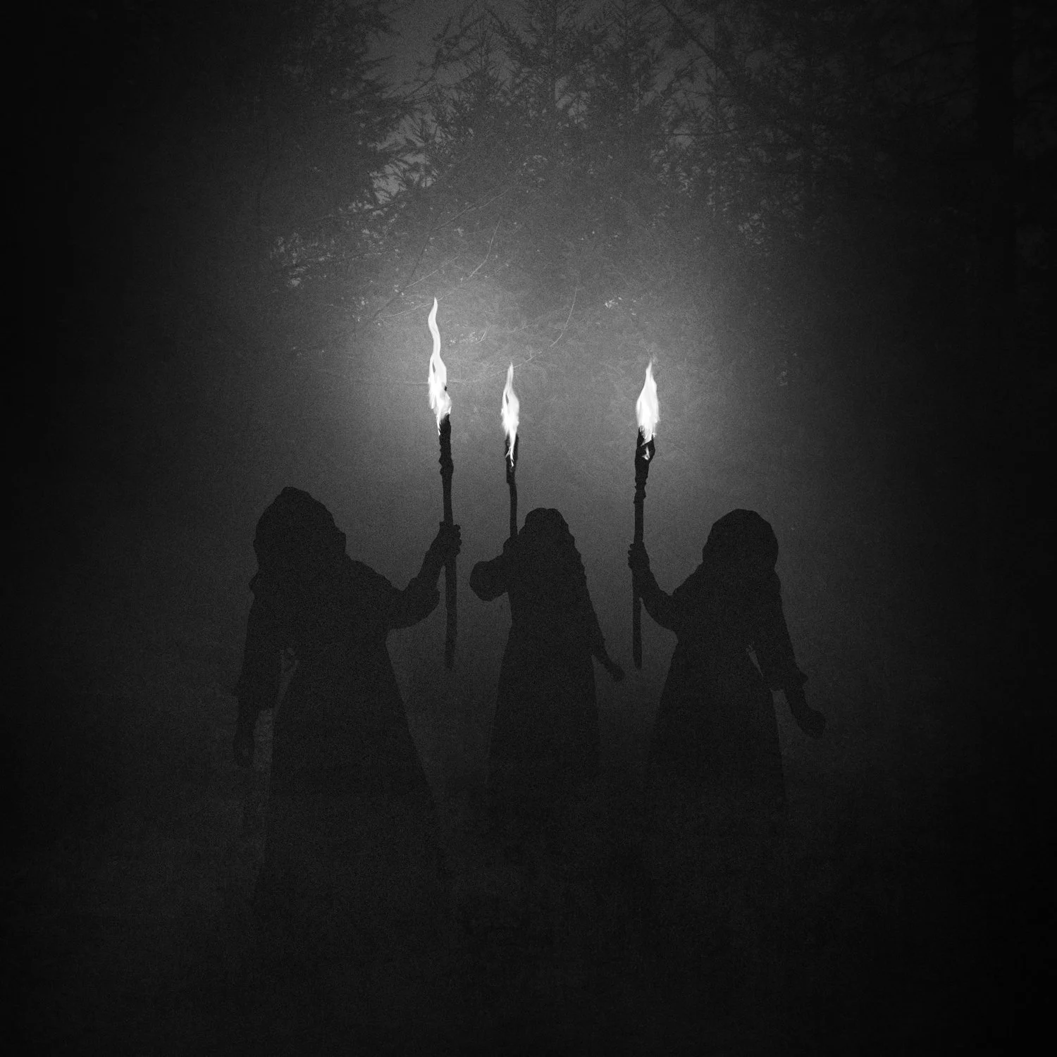 2025-To-Sing-in-the-Shadows.jpg