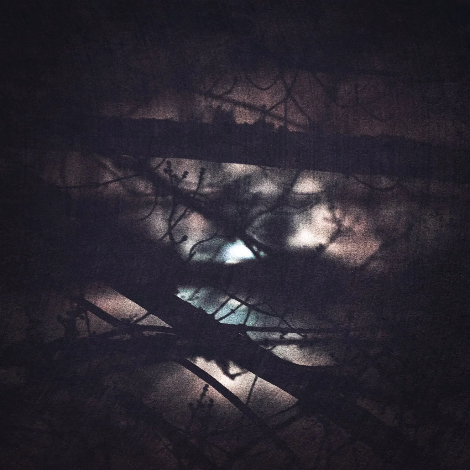 "Sacred Earth: Nocturne" [#2]