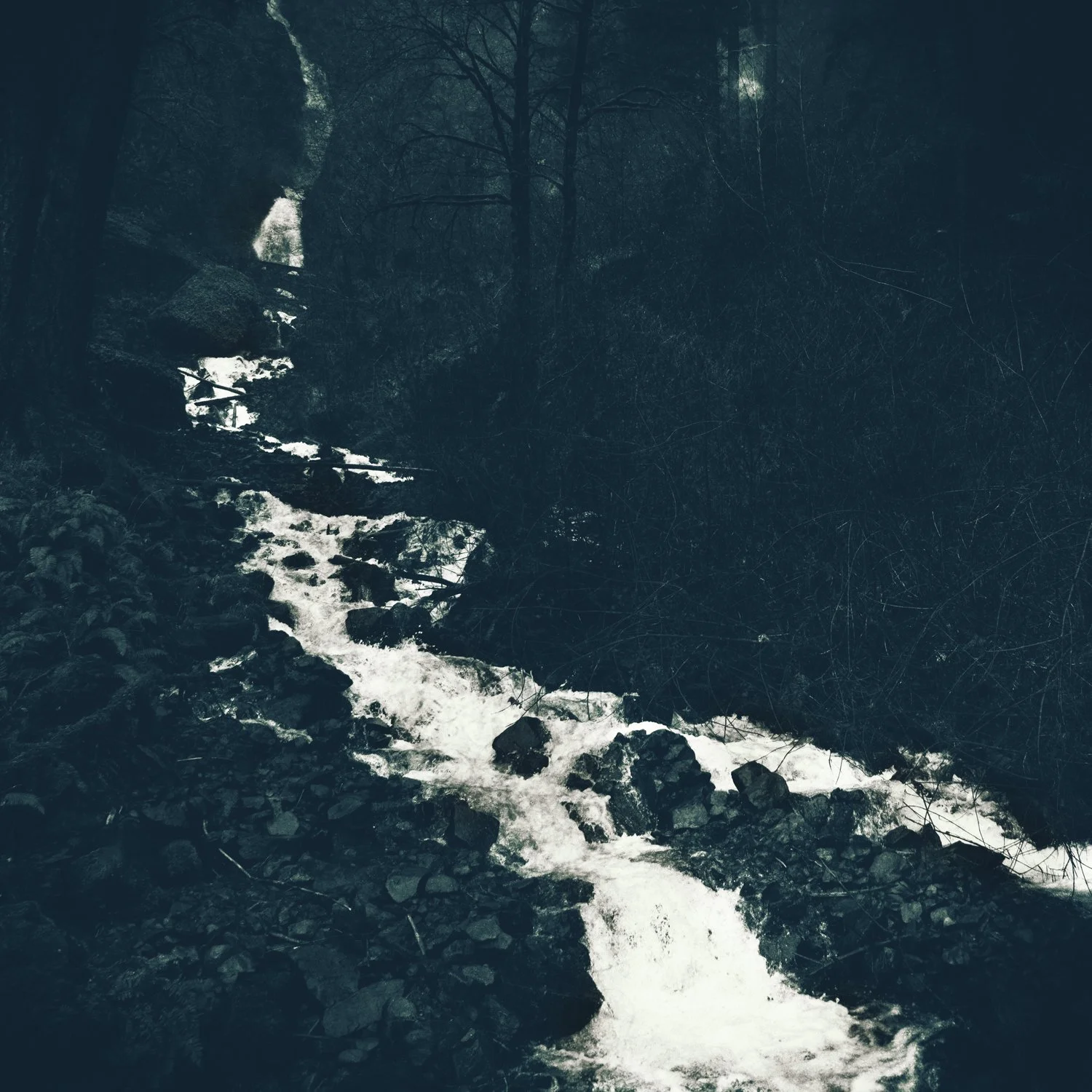 "Sacred Earth" [#34]