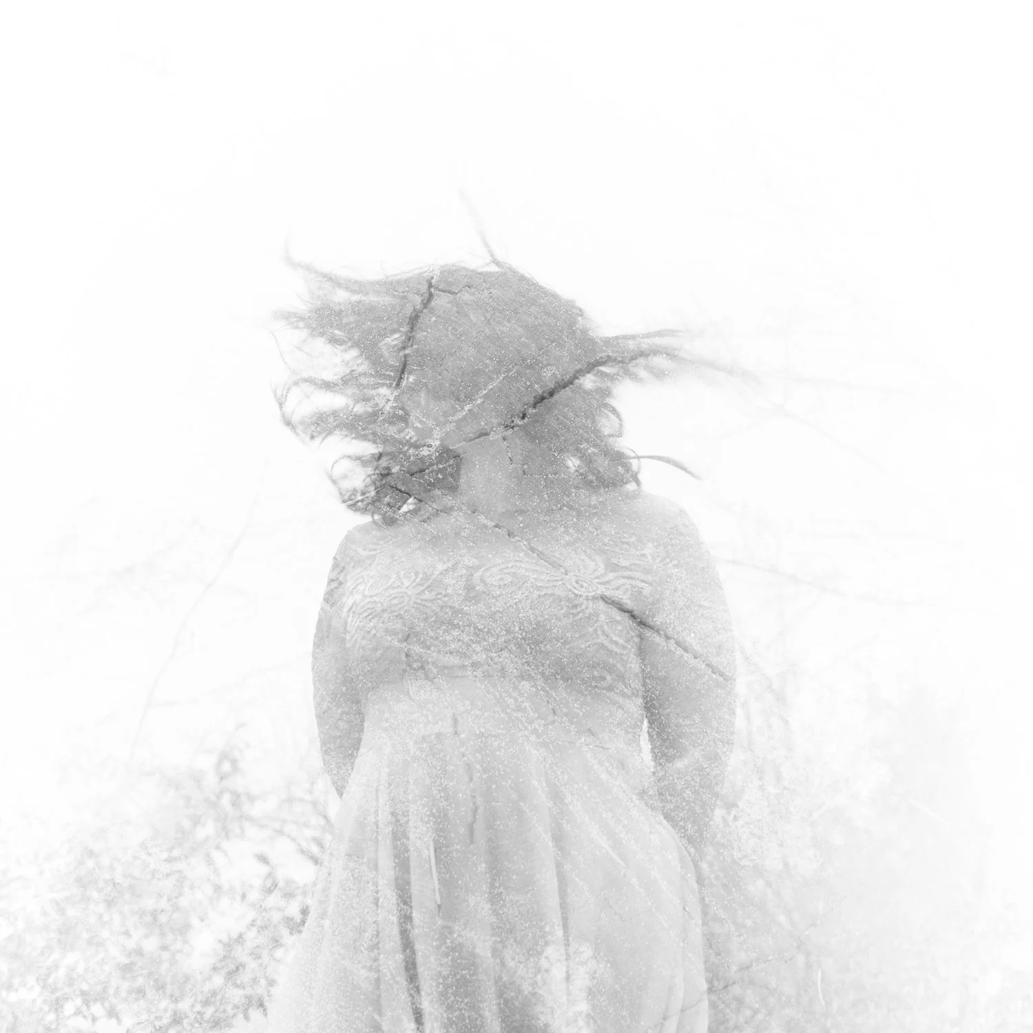"Winter Winds: Part Two" [2019]