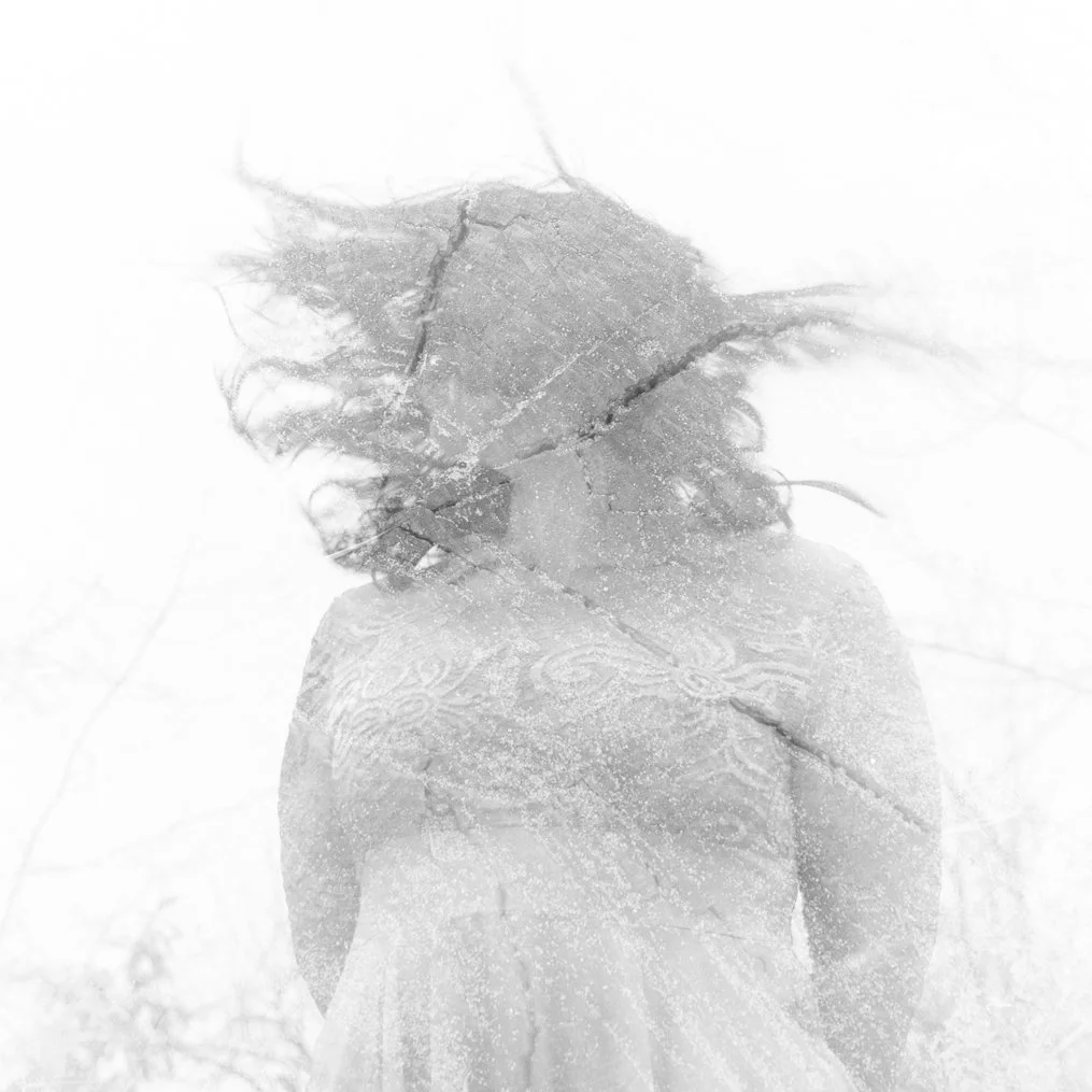 2019-Winter-Winds-PT2-Detail.jpg