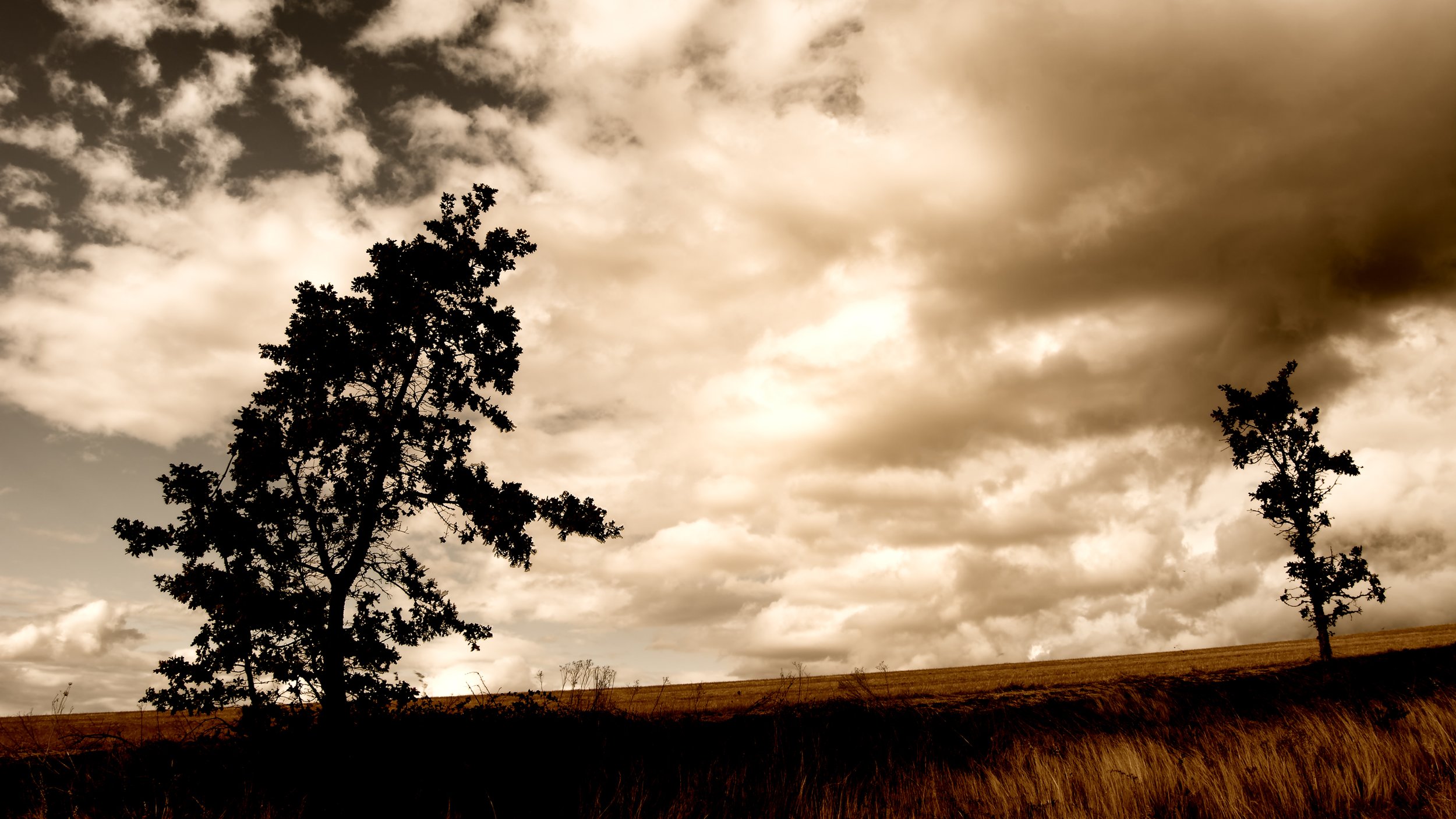 "Sacred Earth" [#8]